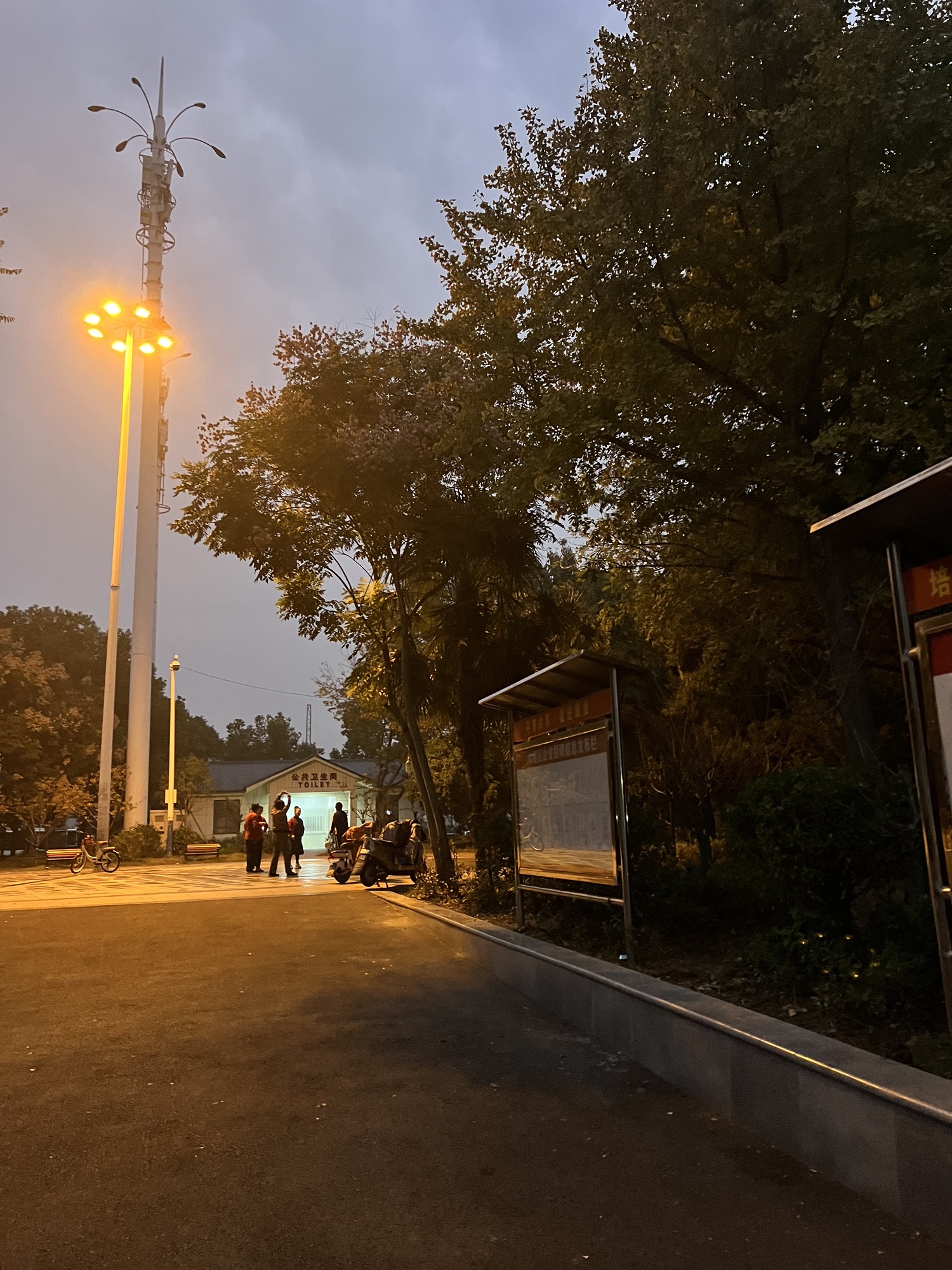 大通区人才公园旅行图片 3
