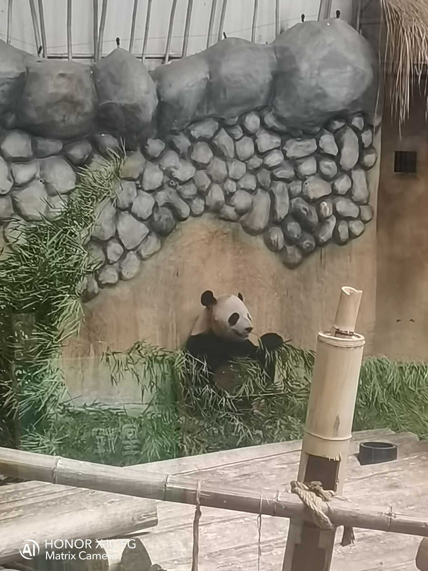上湖生态公园旅行图片 3