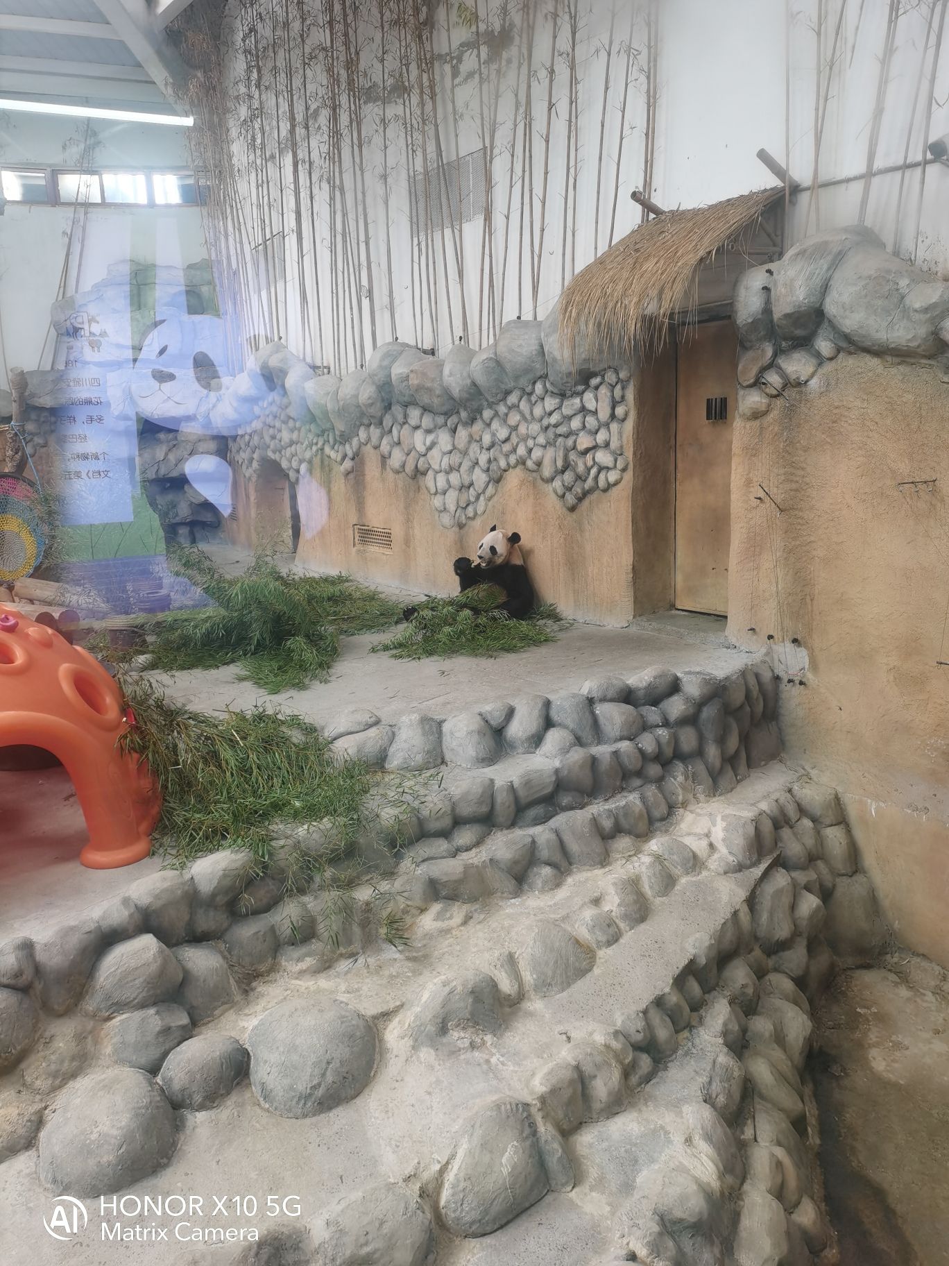 上湖生态公园旅行图片 2