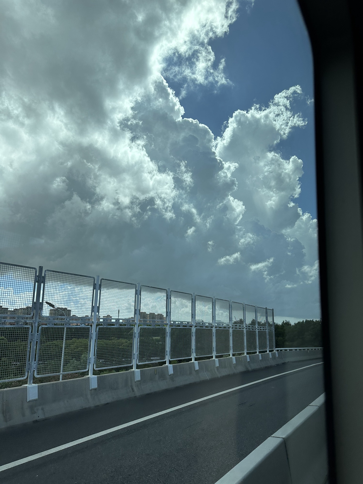 石岗南湖公园旅行图片 3