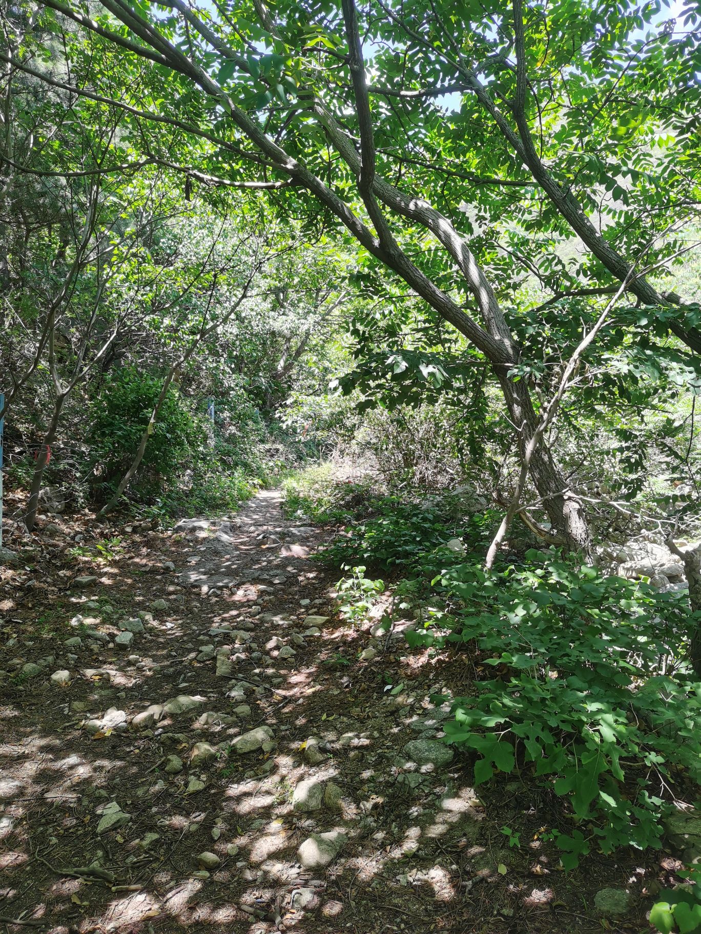 藤萝谷旅行图片 1