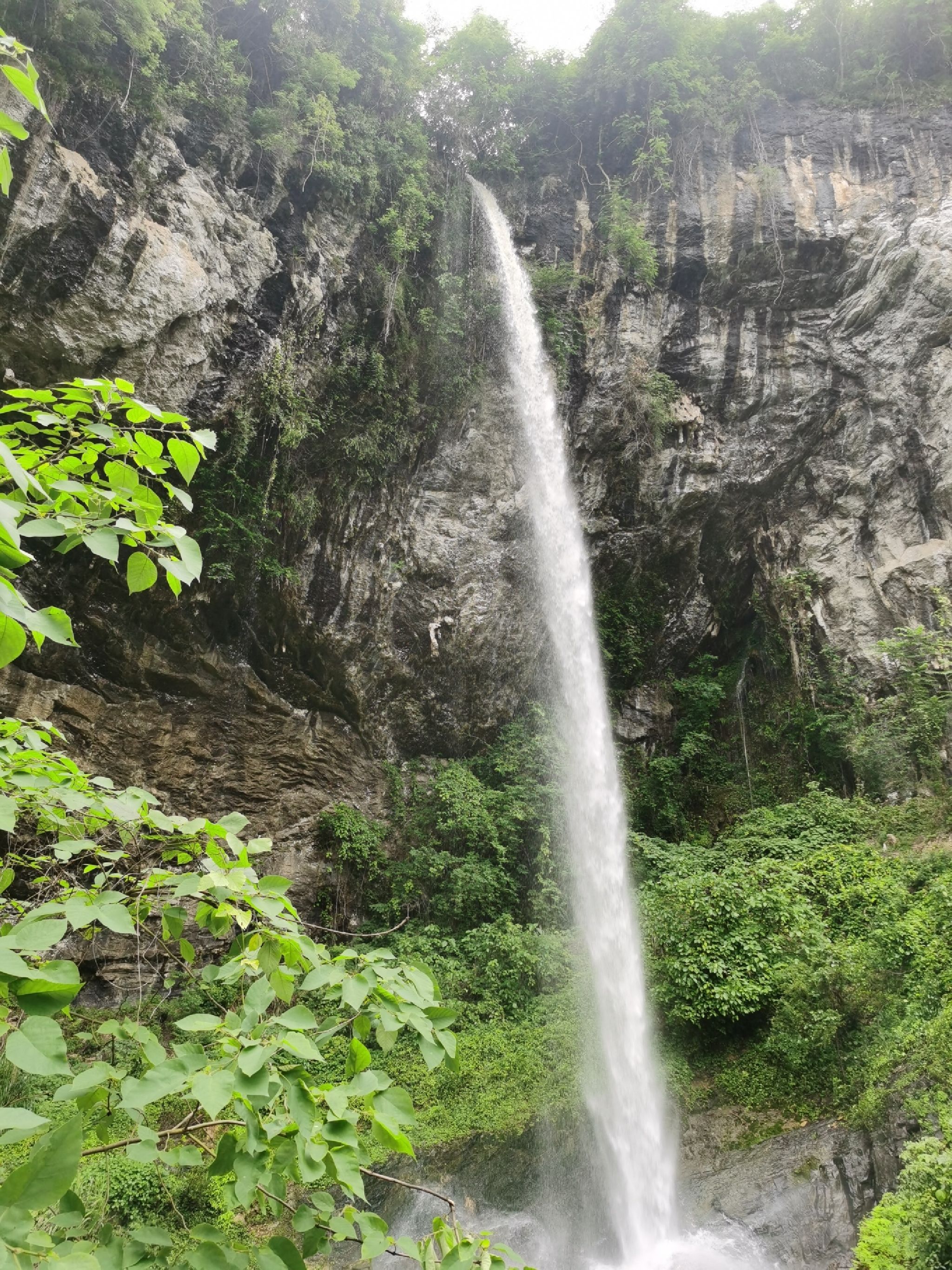 郭公坪擎天一柱旅行图片 1