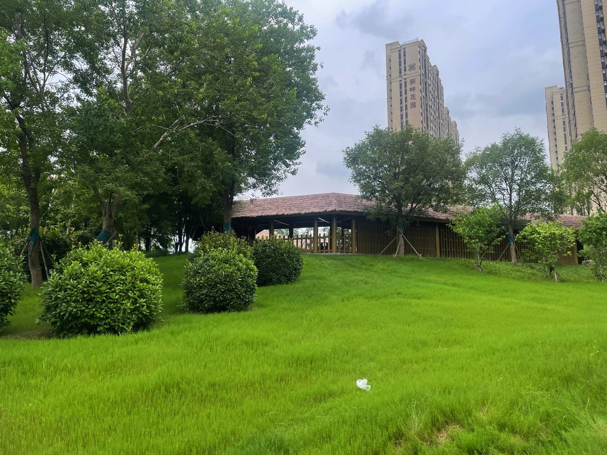杜寨遗址生态文化公园旅行图片 1