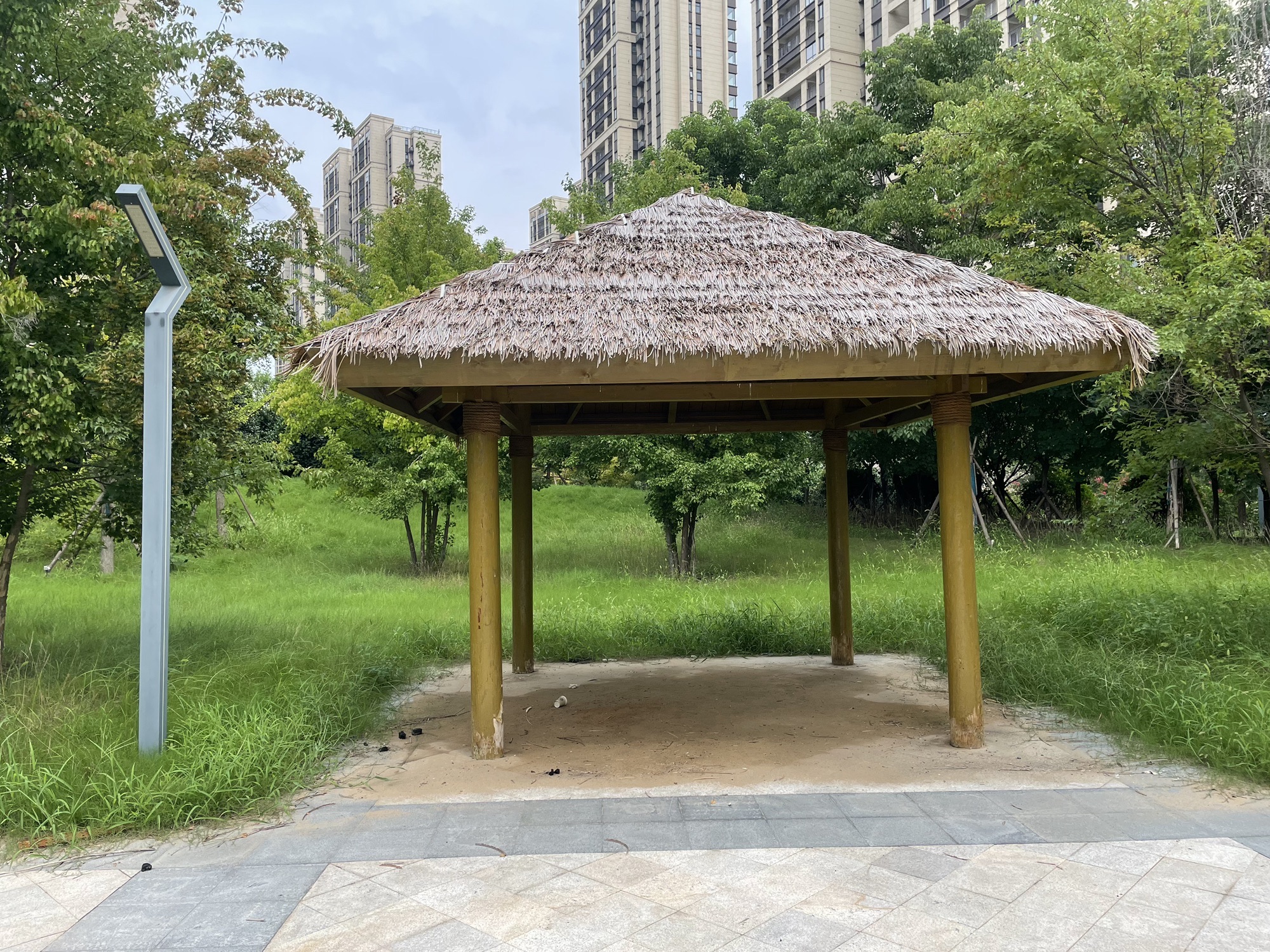 杜寨遗址生态文化公园旅行图片 3