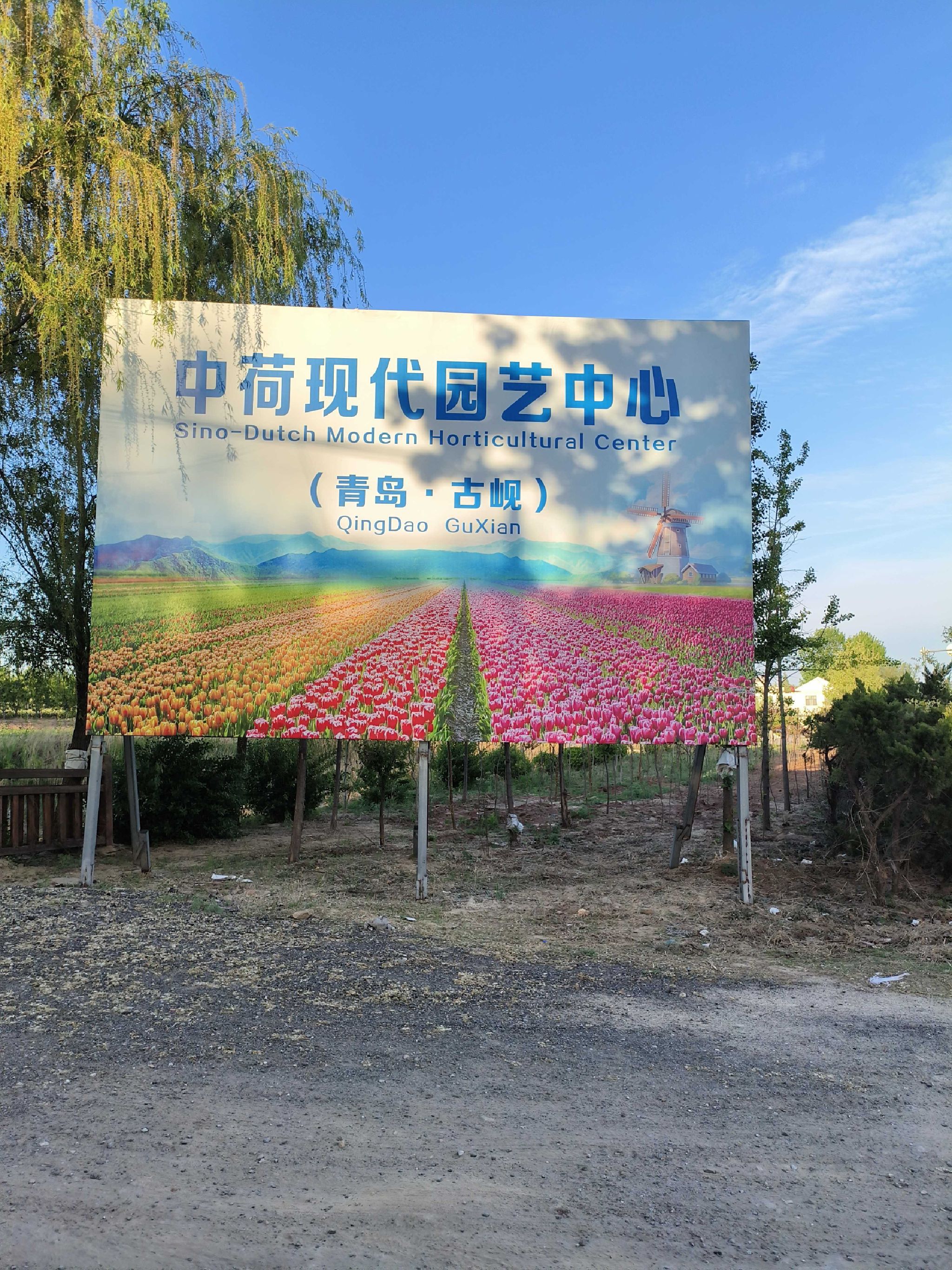 古岘健康主题公园旅行图片 1