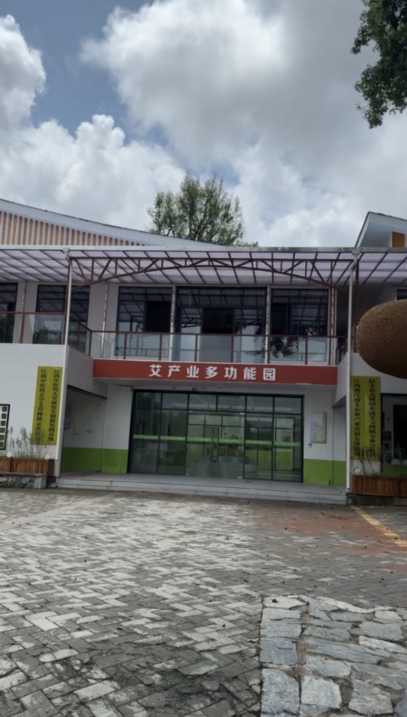 龙井湾旅行图片 1