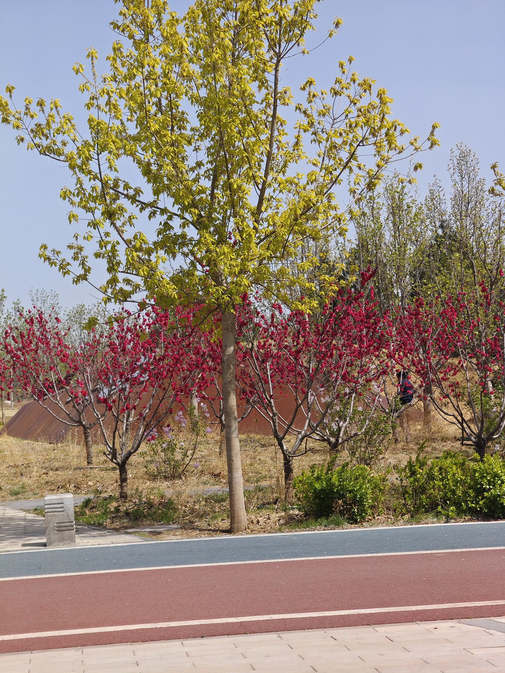 泃河文化长廊旅行图片 1