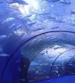 肥东海洋王国旅行图片 2