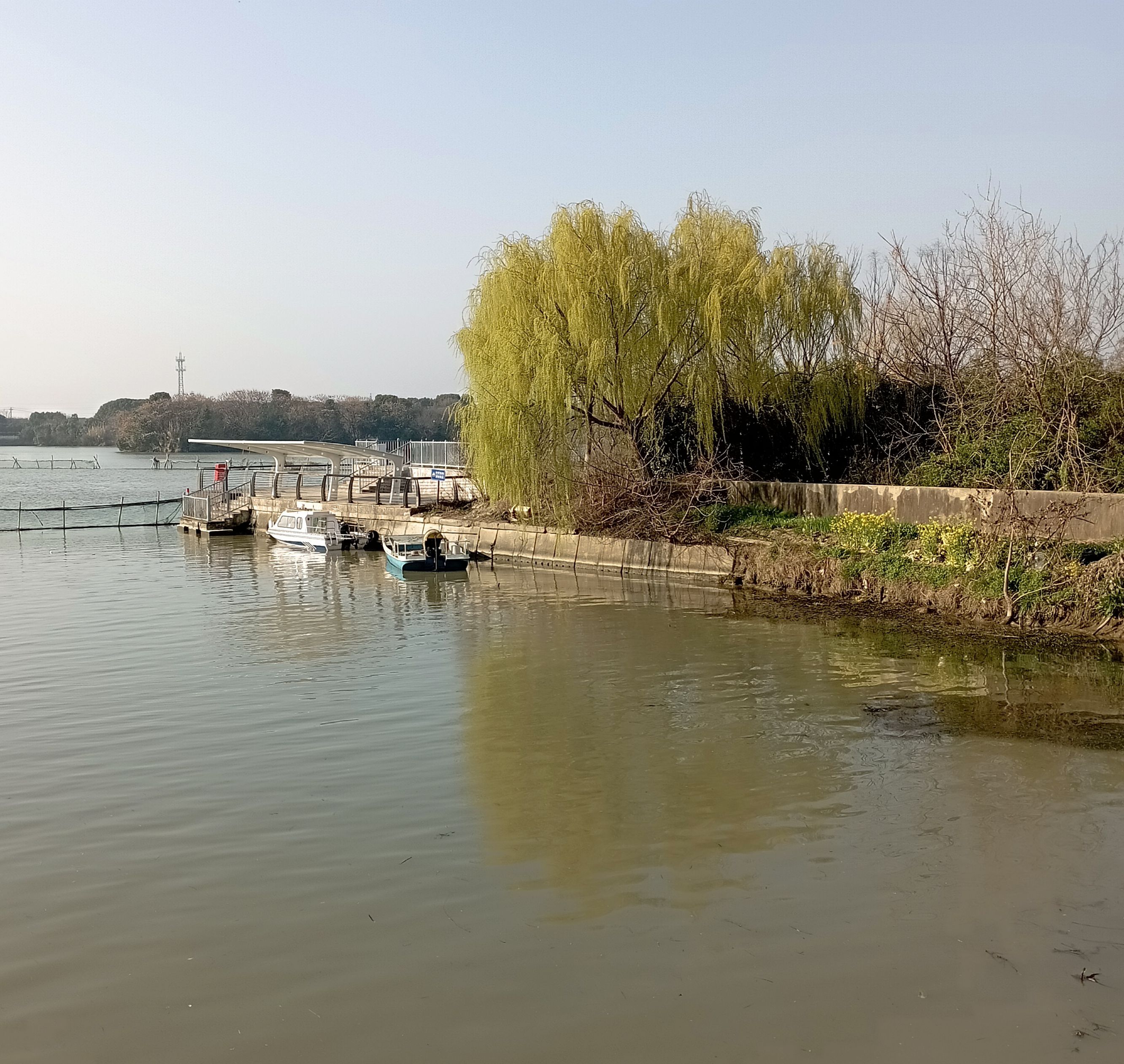 庄柴湖湿地公园