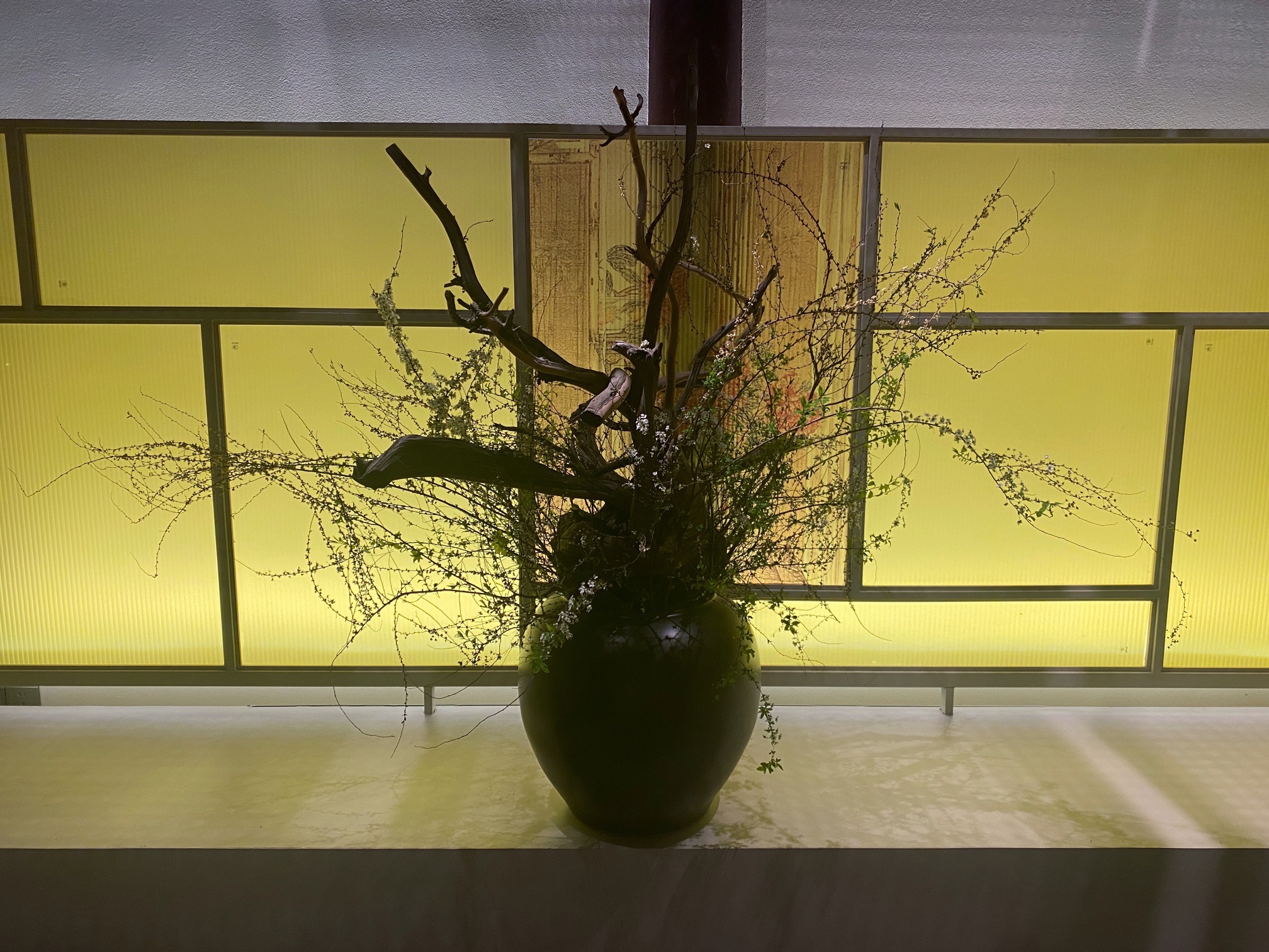 苏州状元府旅行图片 1