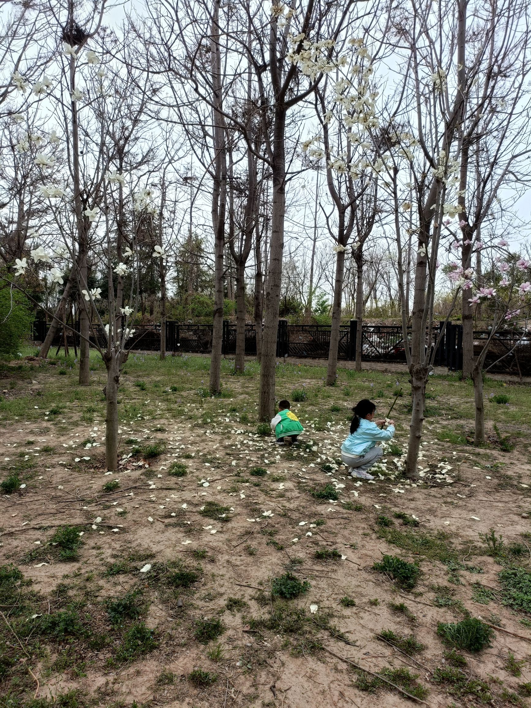 郑州牟山湿地公园旅行图片
