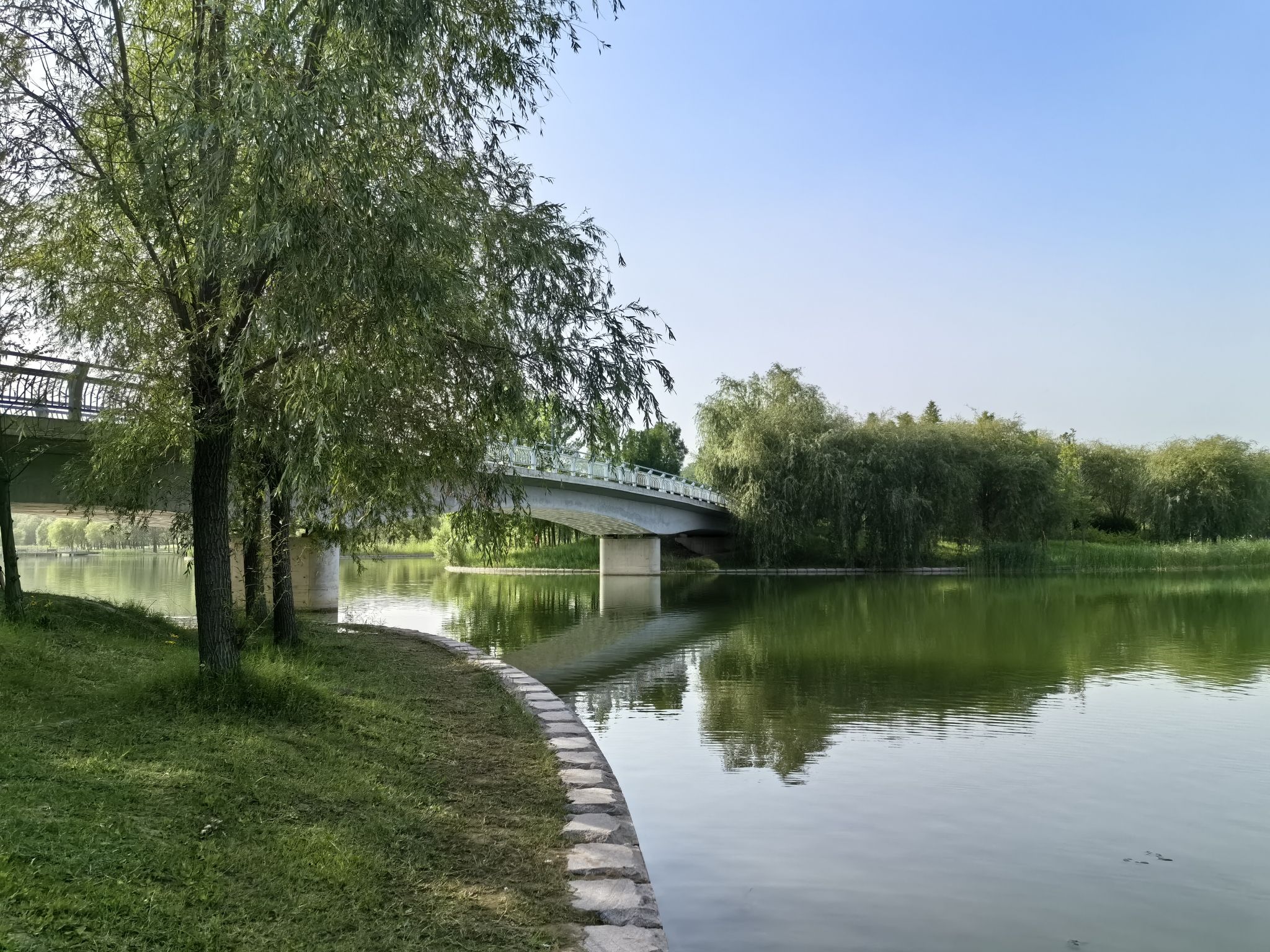 郑州牟山湿地公园旅行图片