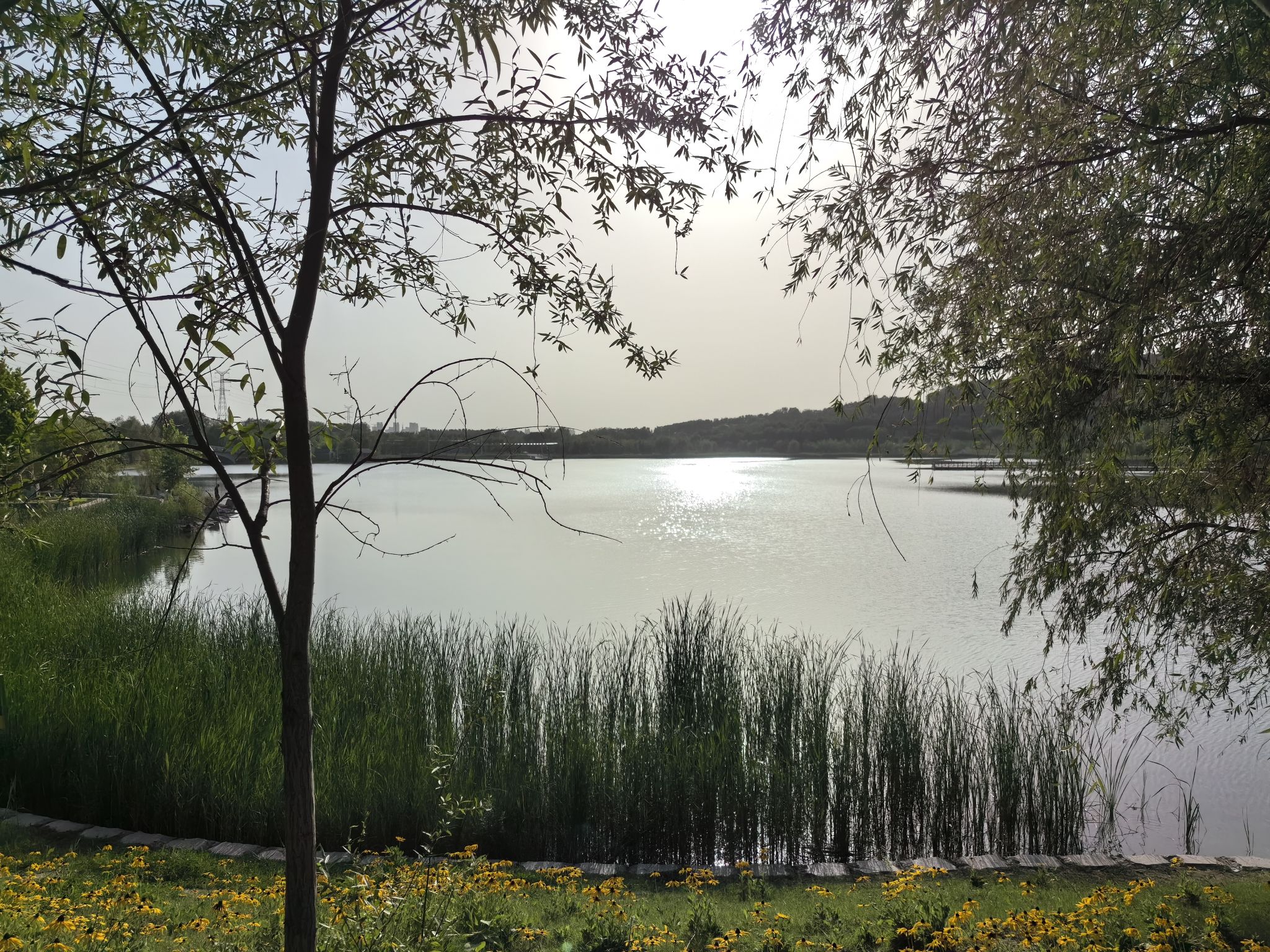 郑州牟山湿地公园旅行图片 2