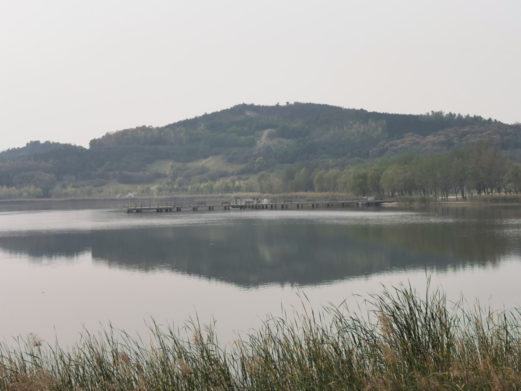 郑州牟山湿地公园旅行图片 3