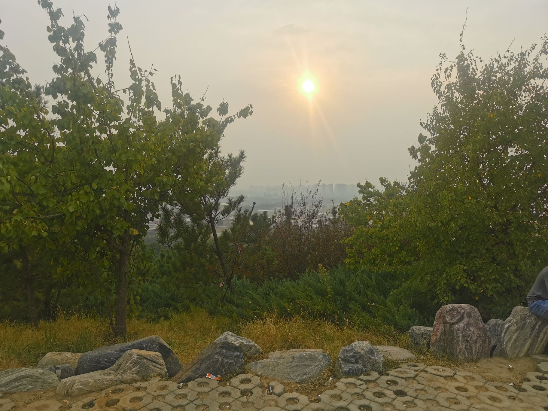 郑州牟山湿地公园旅行图片 2