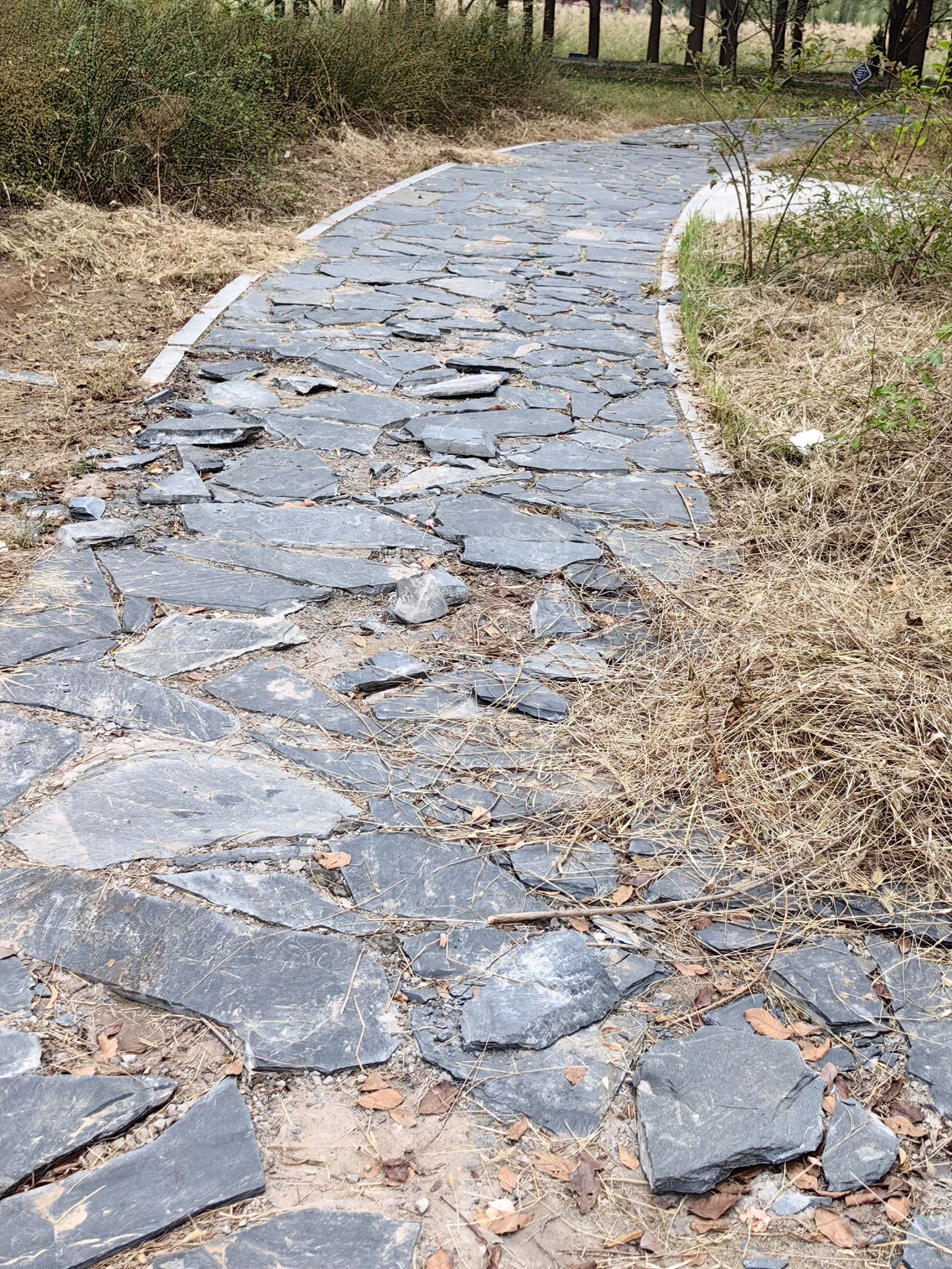 郑州牟山湿地公园旅行图片 2