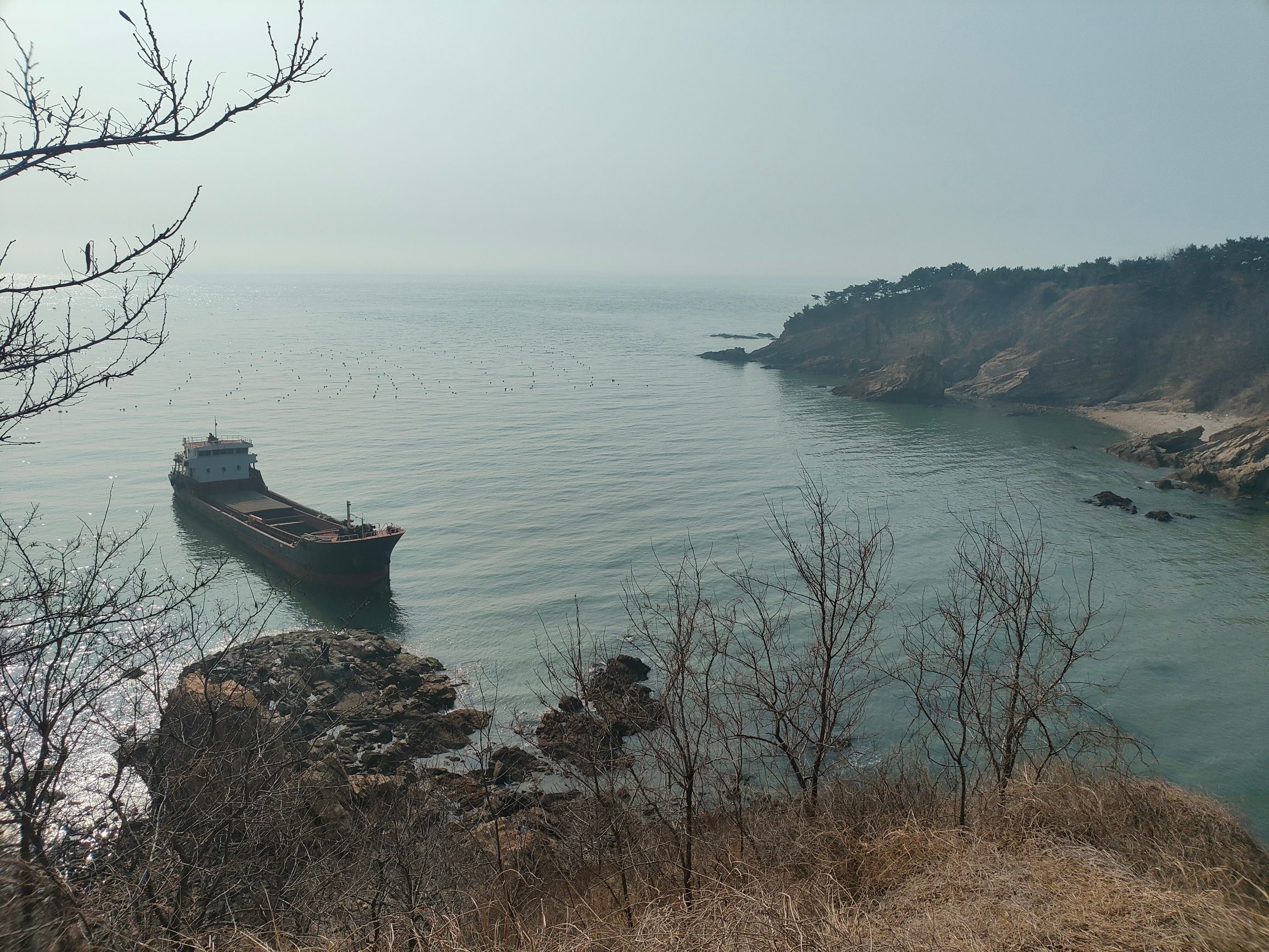 沉船湾旅行图片 1