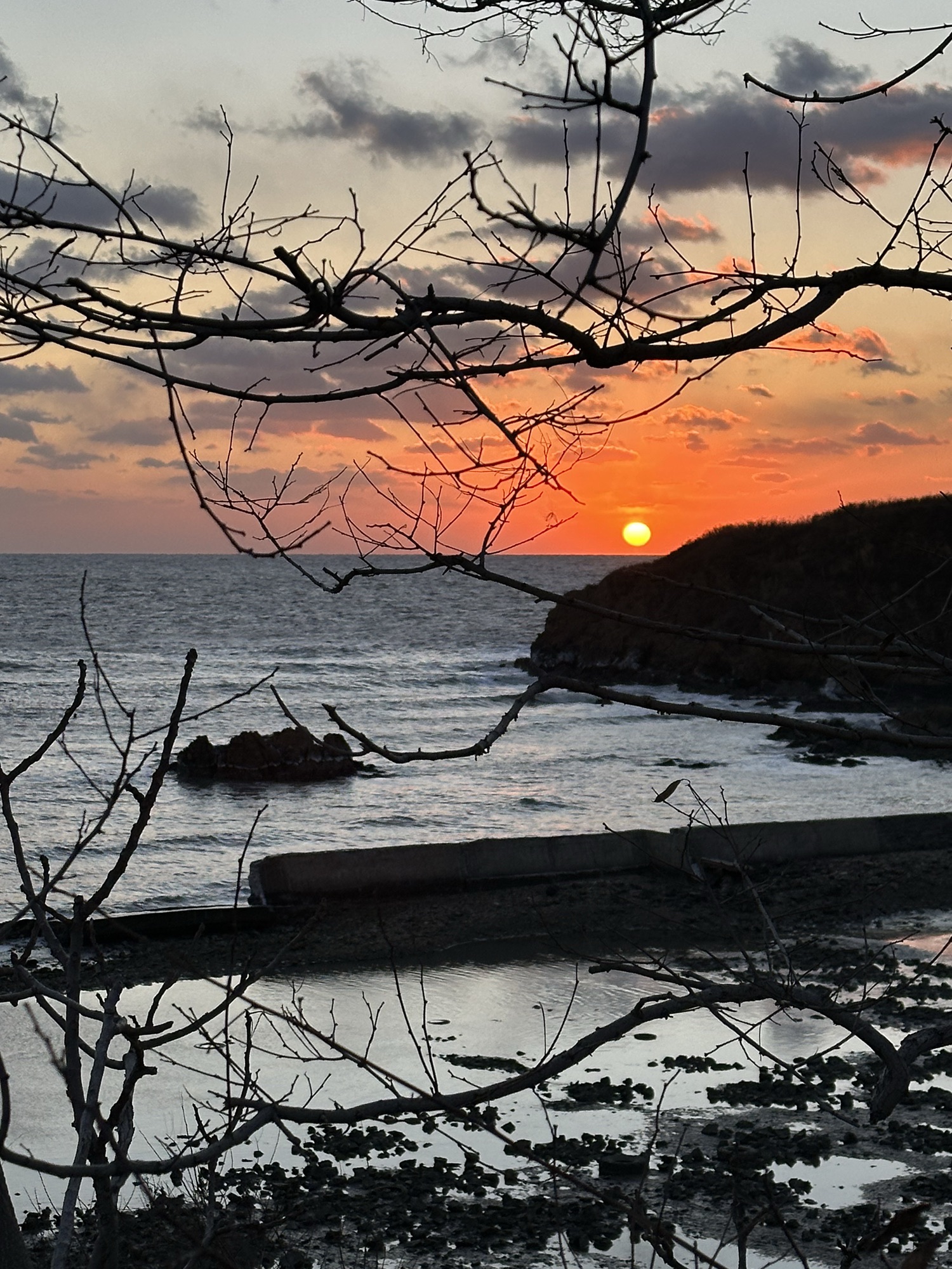 沉船湾旅行图片 3