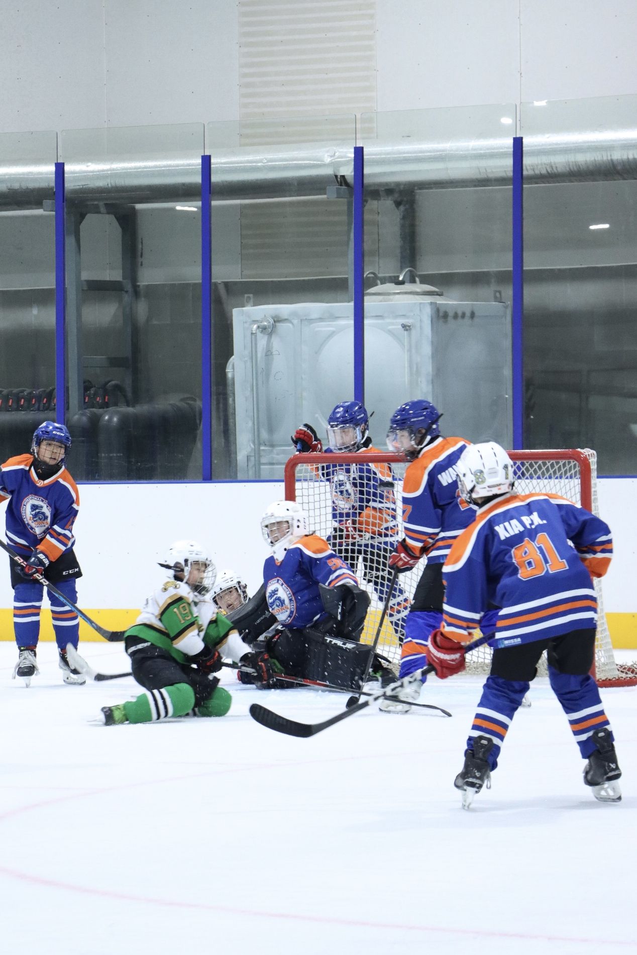 推荐场地-冰龙双子座冰上运动中心