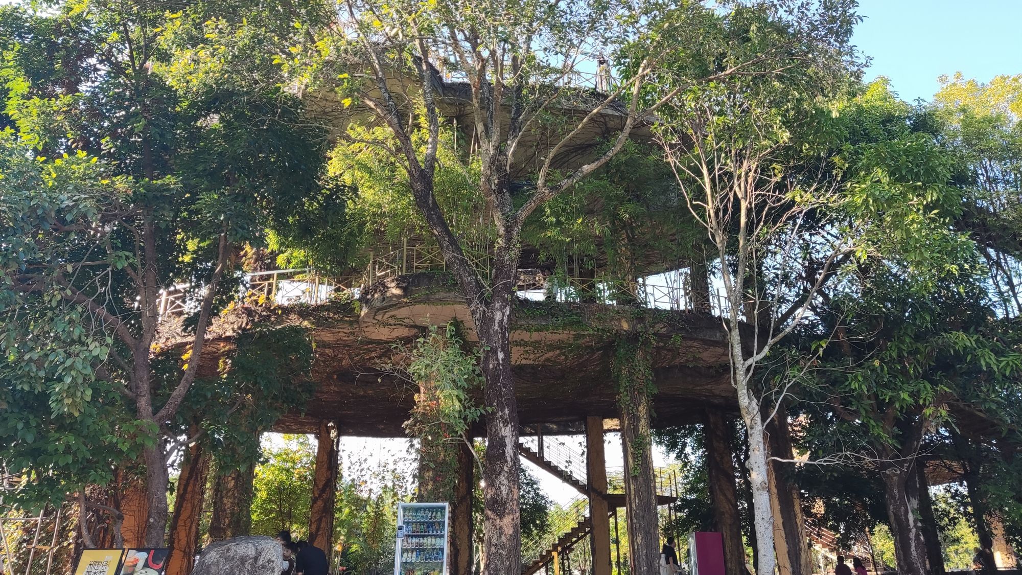 阳江了园旅行图片 2