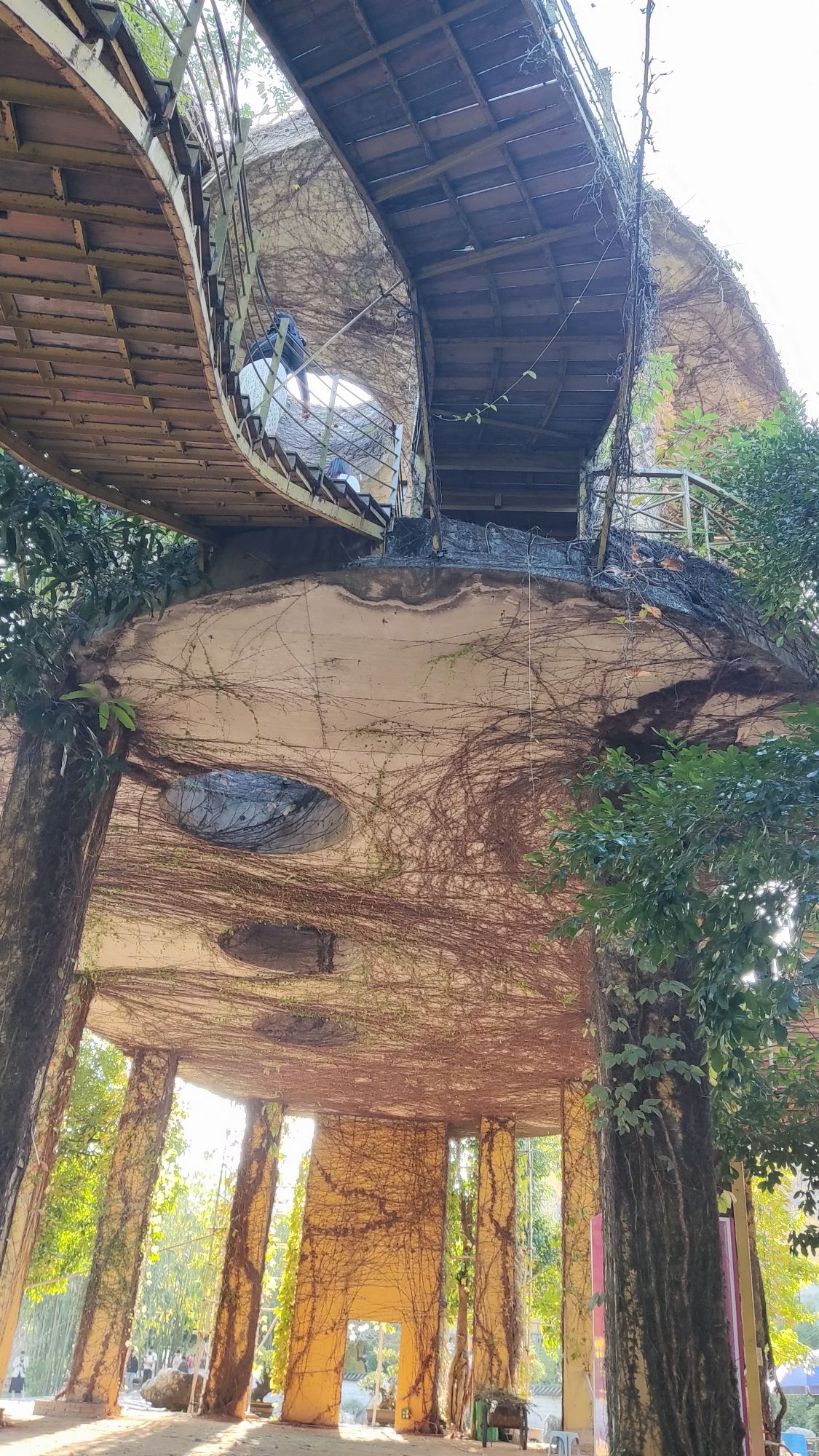 阳江了园旅行图片 3