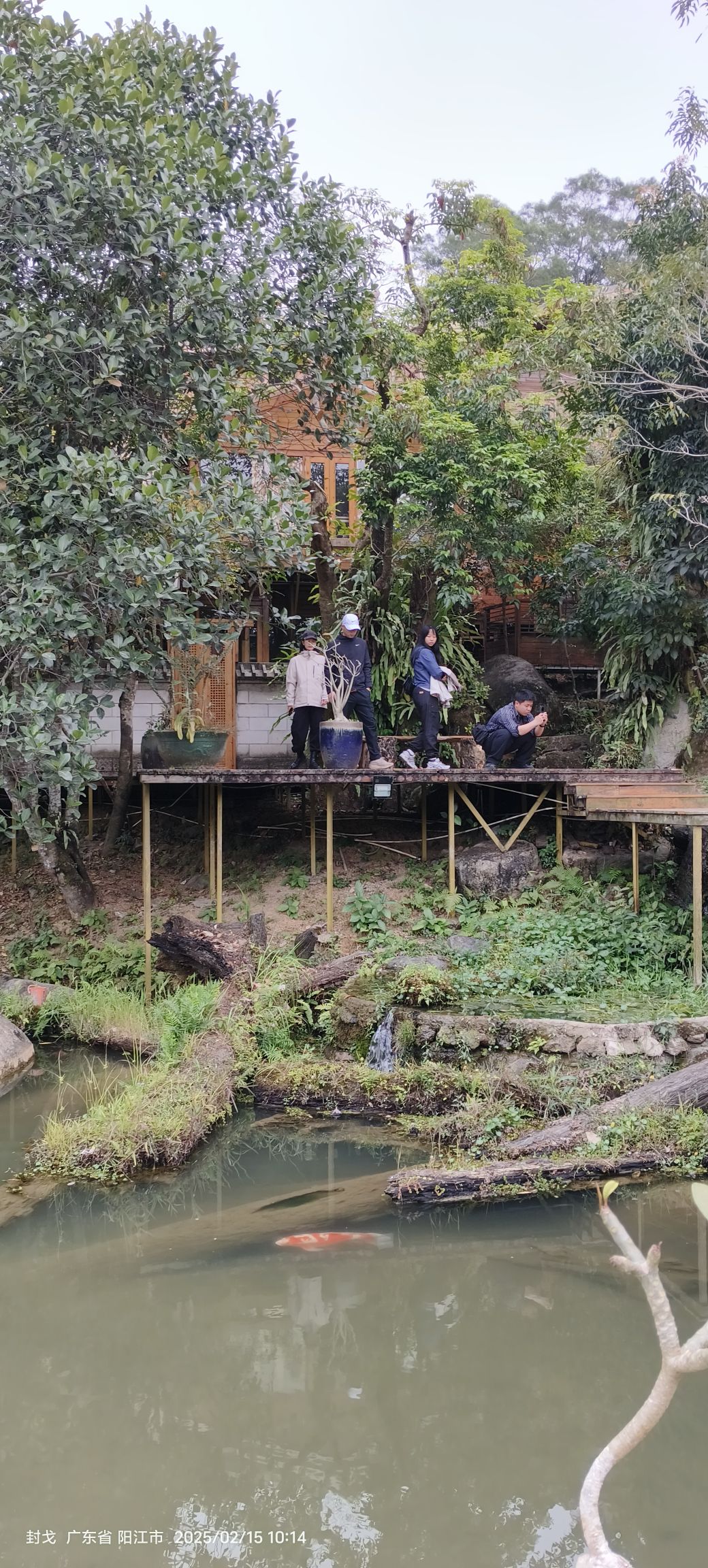 阳江了园旅行图片 1