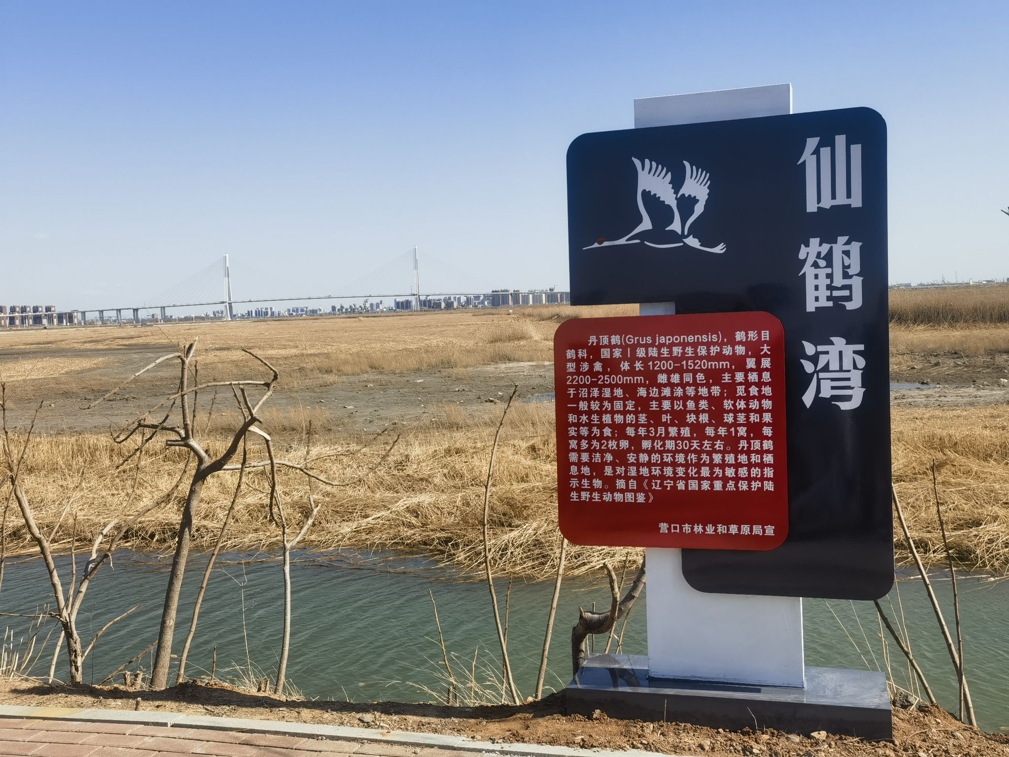 仙鹤湾旅行图片 1