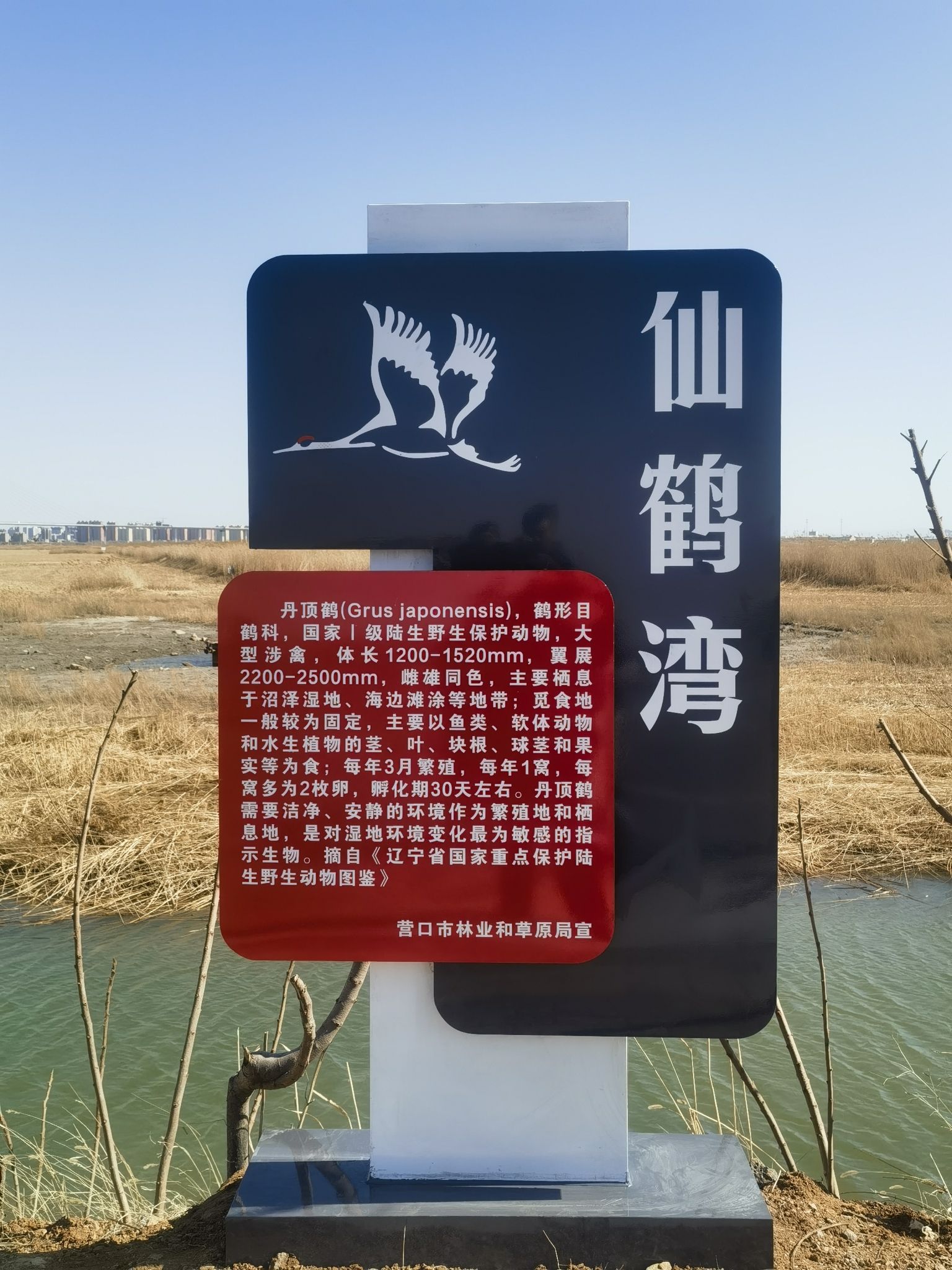 仙鹤湾旅行图片 2