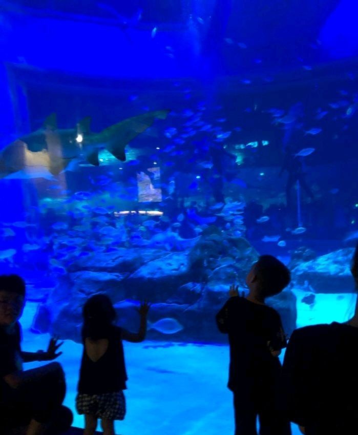 包头市印象城·海洋生物馆旅行图片 1