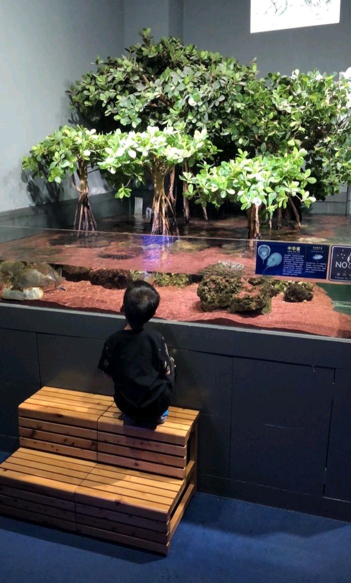 包头市印象城·海洋生物馆旅行图片 3