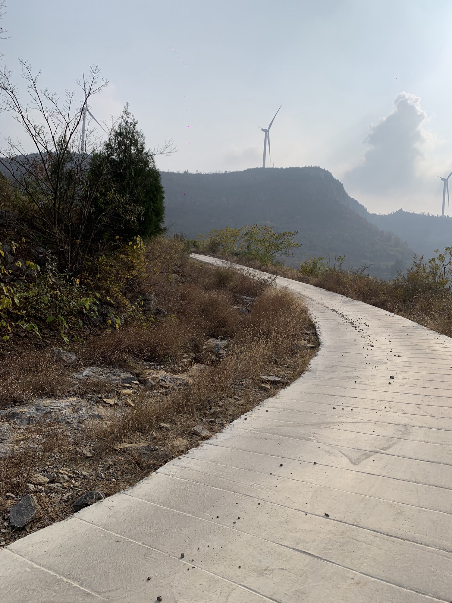 风车天路旅行图片 1