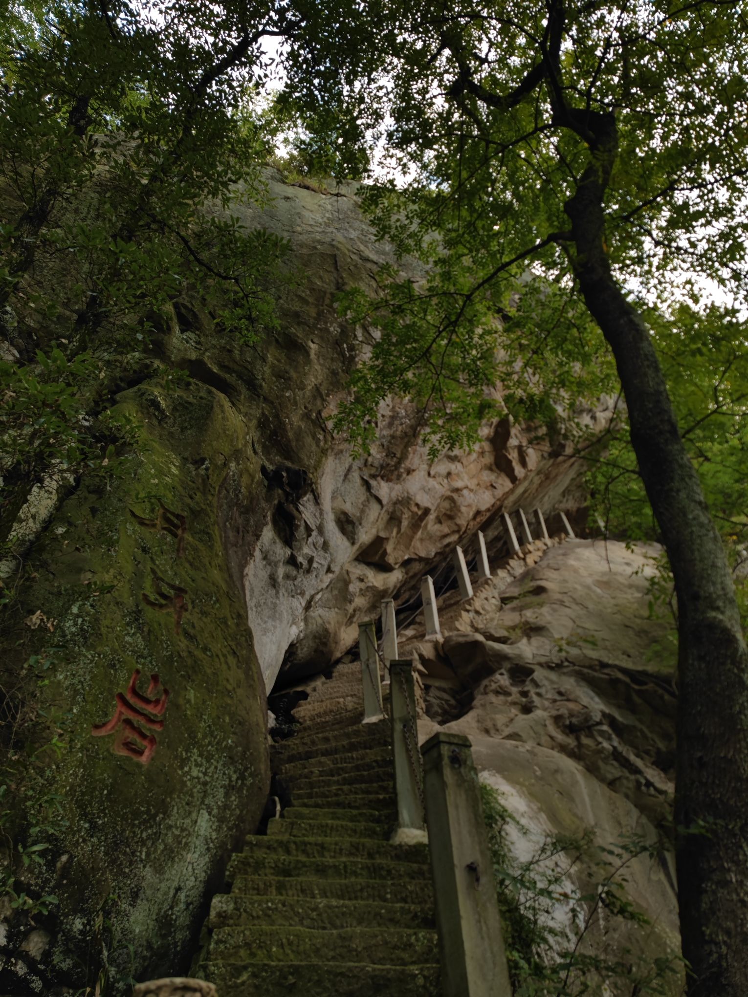 通川区犀牛山森林公园