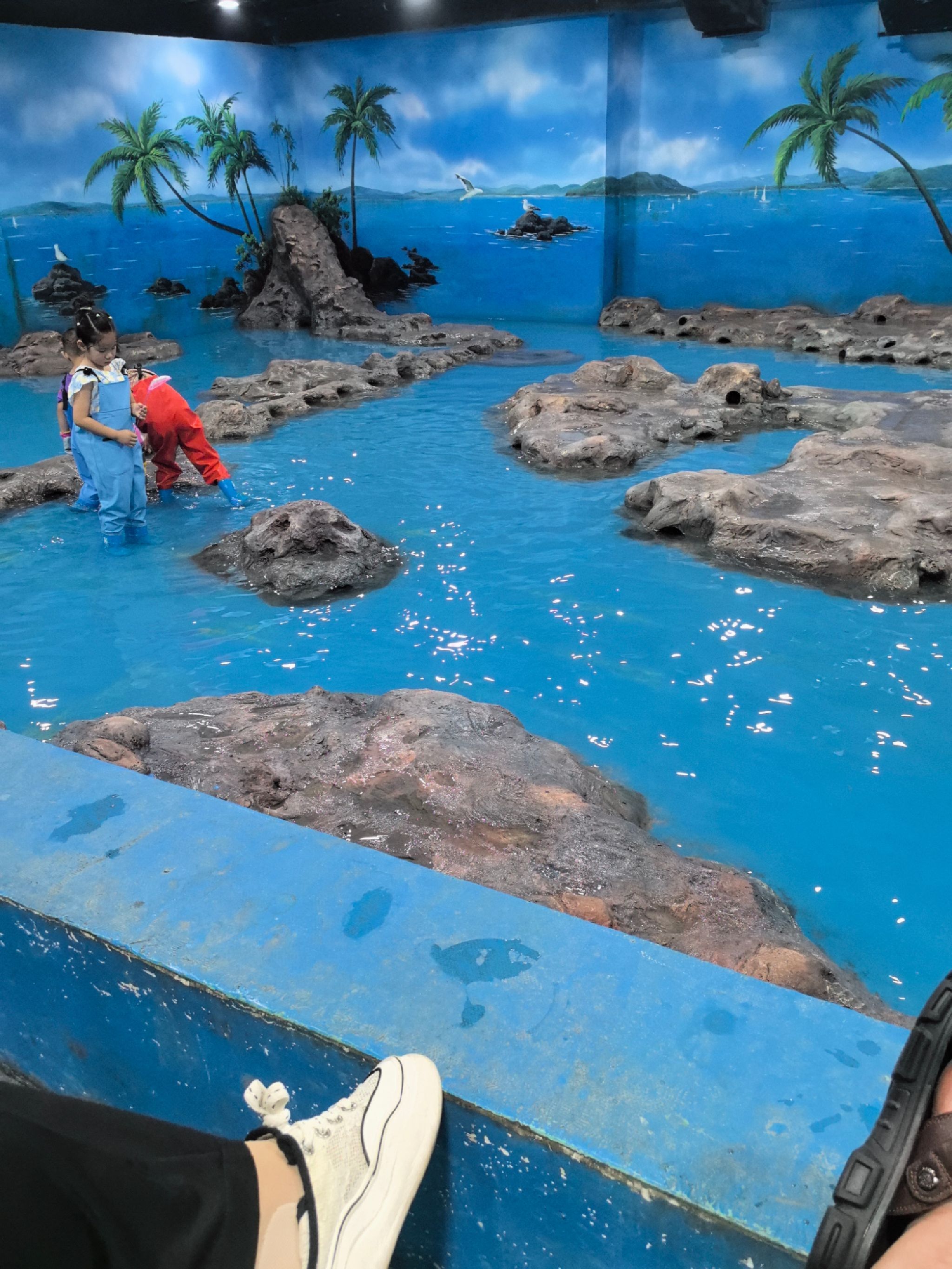 九江海底世界旅行图片 1