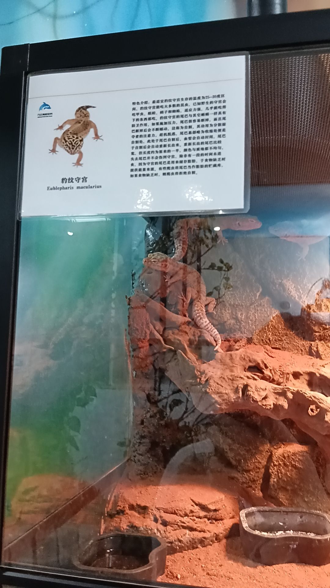 九江海底世界旅行图片 1