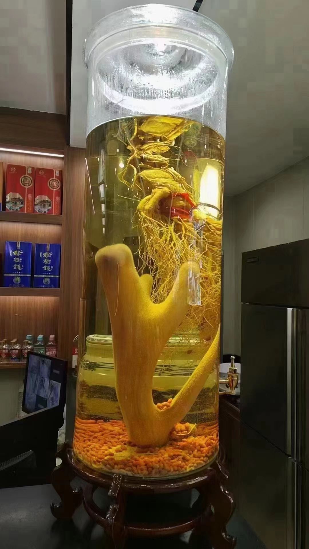 临沂·沂南梅花鹿观赏园旅行图片 3