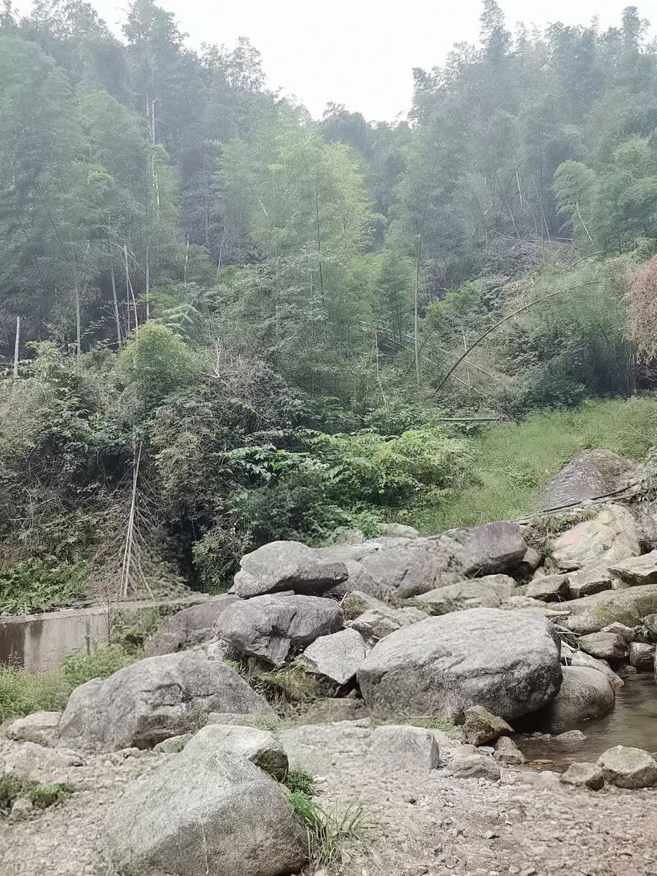 竹海槽下景区旅行图片 1