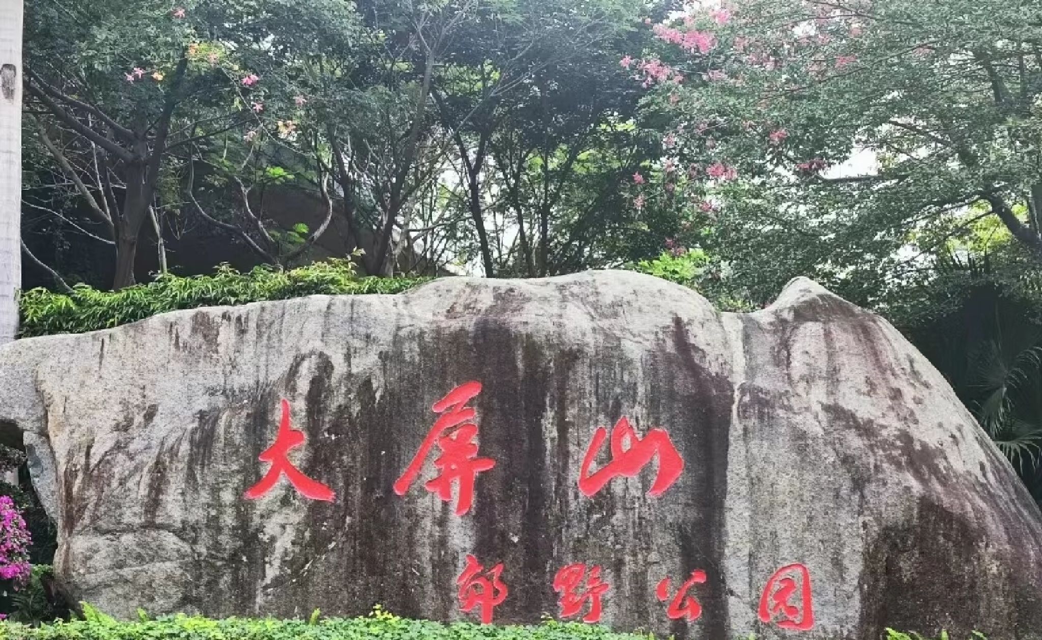 海沧大屏山樱花谷旅行图片 1