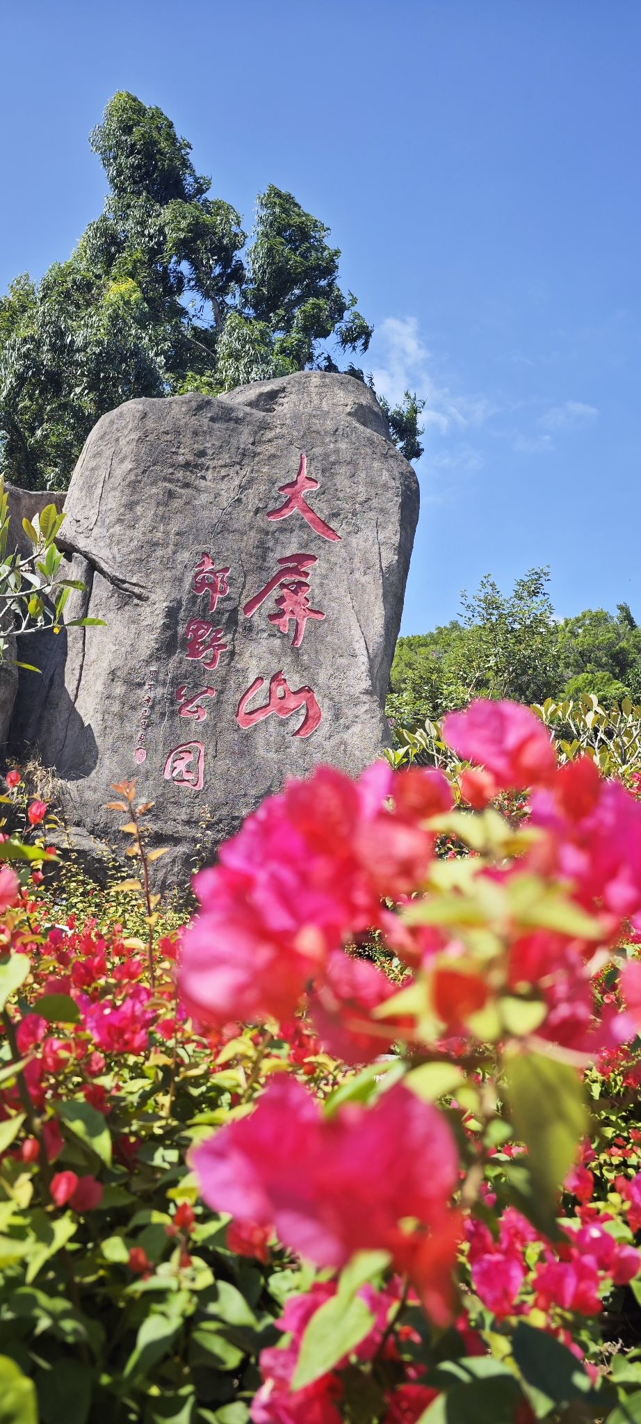 海沧大屏山樱花谷旅行图片 1