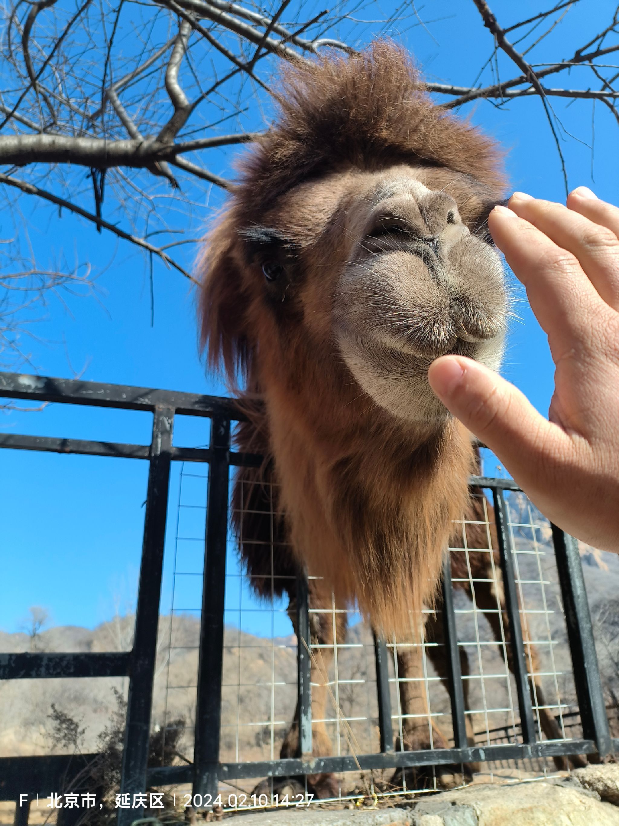 碓臼石景区旅行图片 1
