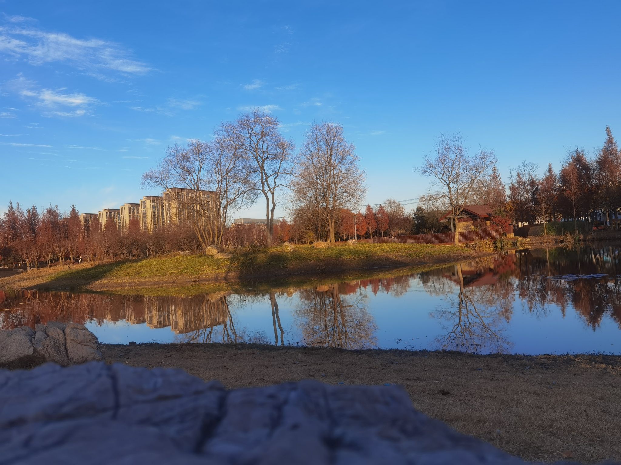 定远县黎明湖湿地公园旅行图片 2