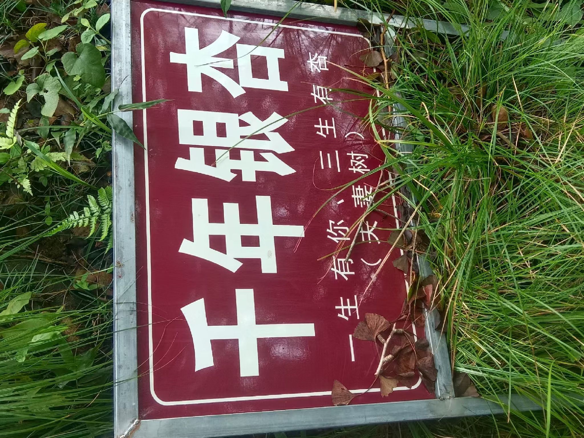 云梯宫旅行图片 3