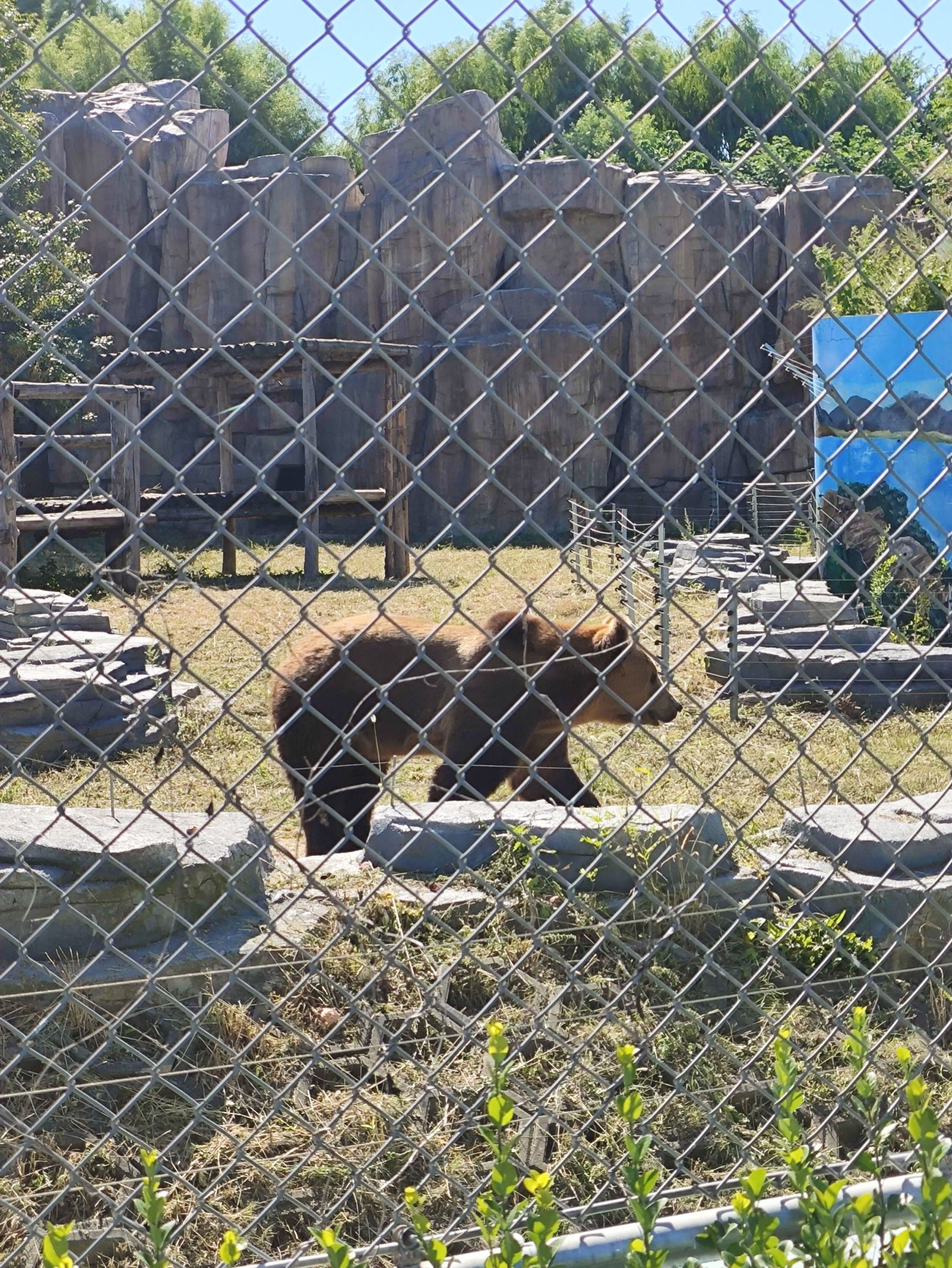 唐山动物园猛禽园旅行图片 3