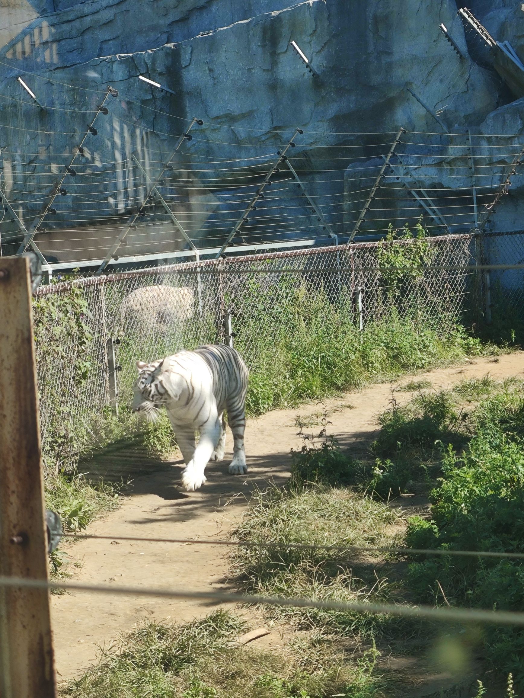 唐山动物园猛禽园旅行图片 2