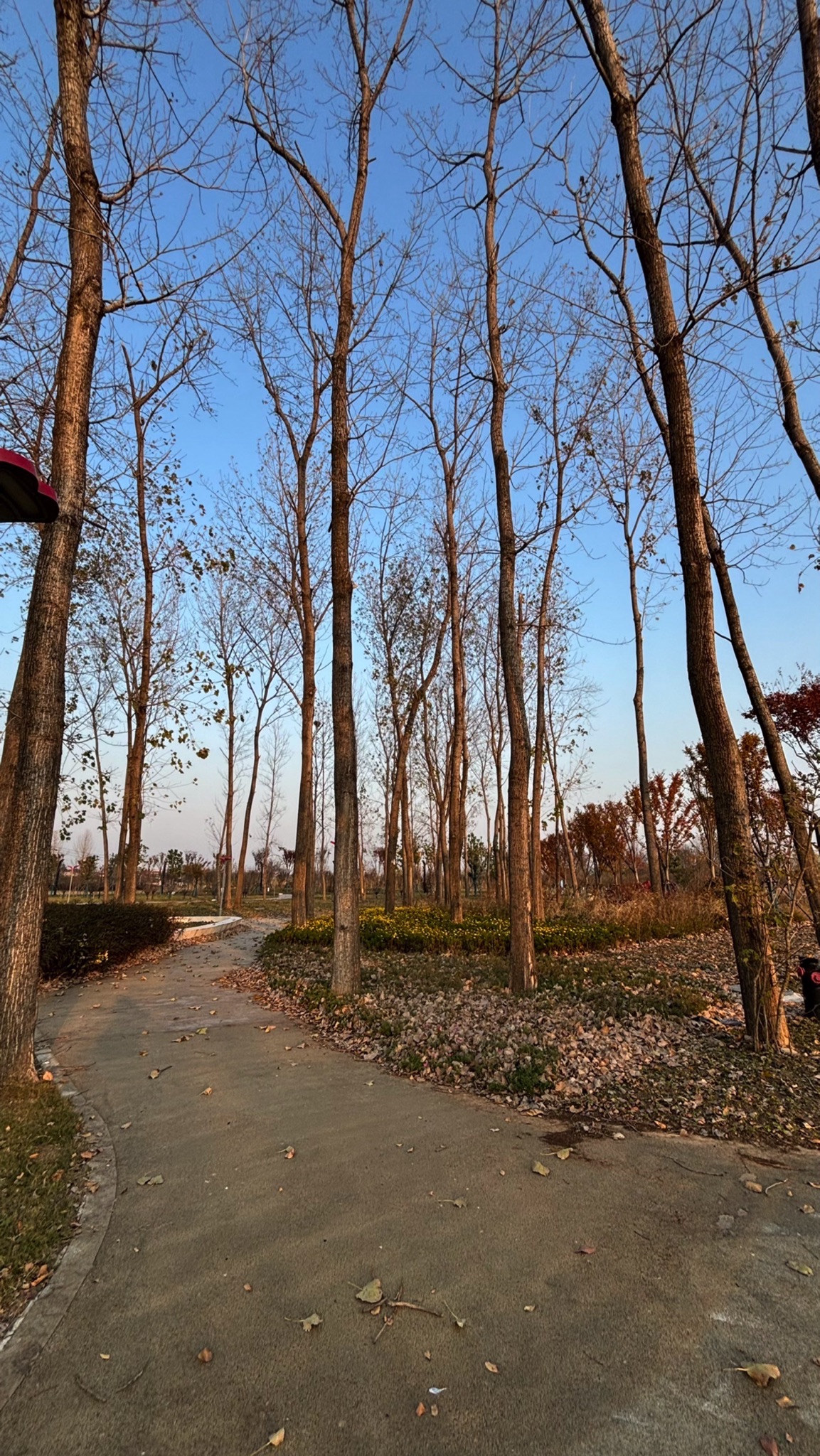 十里铺人防公园旅行图片 1