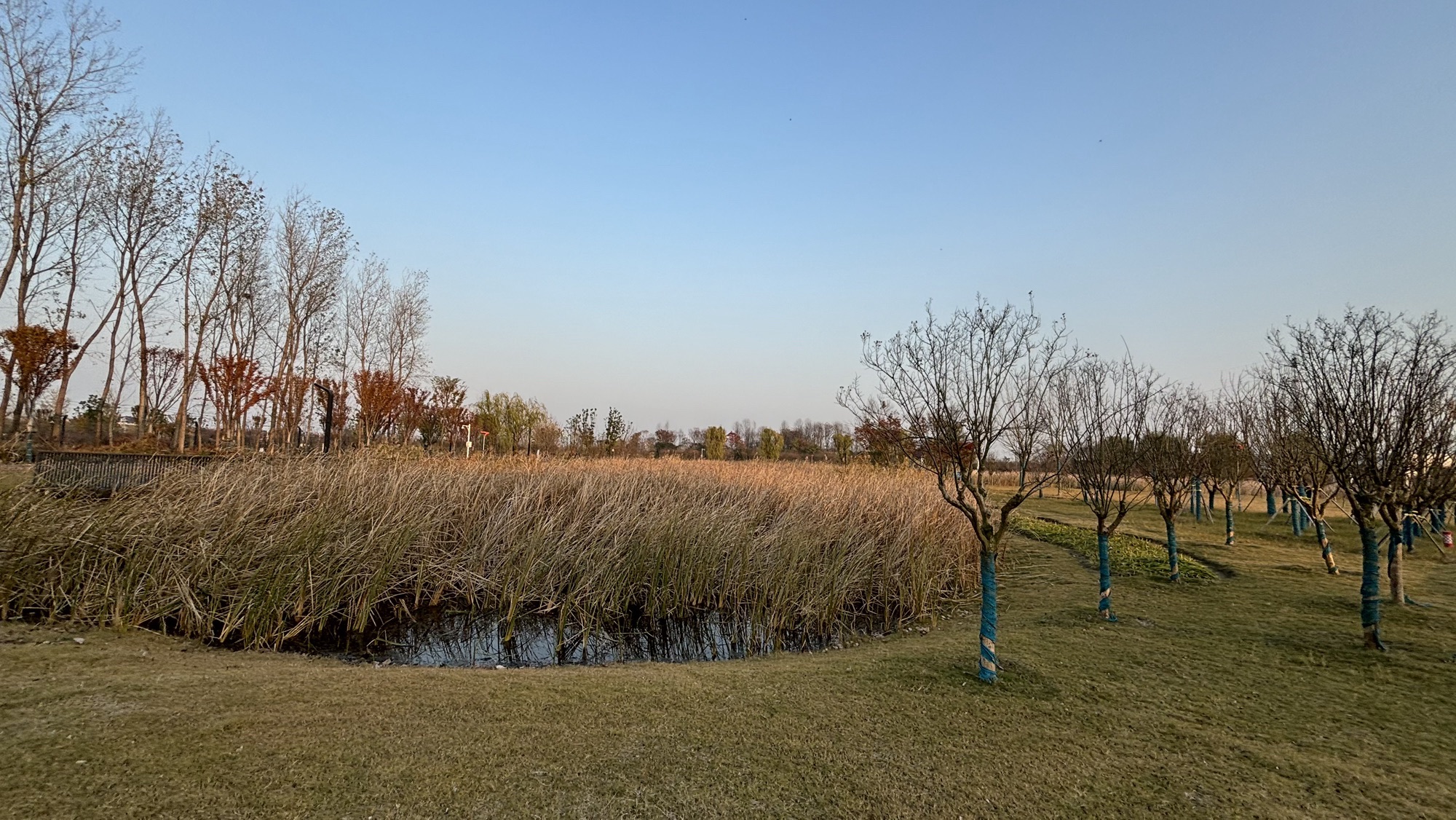 十里铺人防公园旅行图片 3
