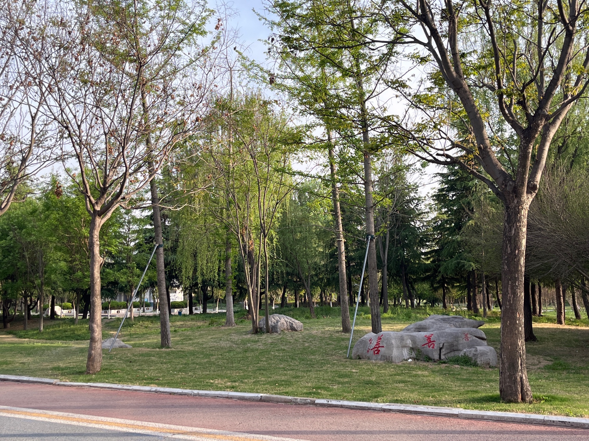 蒙阴县慈善文化广场旅行图片 2
