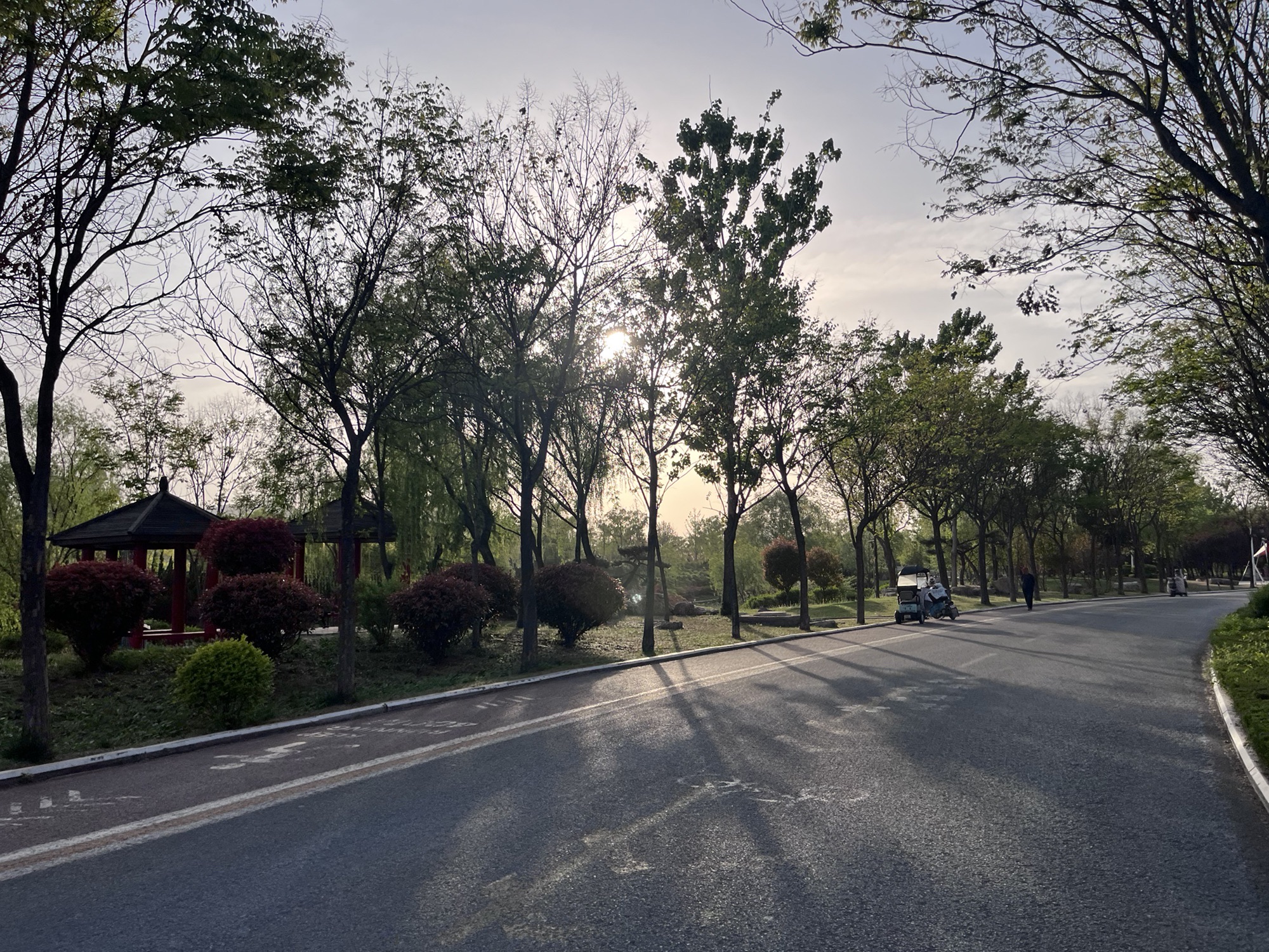 蒙阴县慈善文化广场旅行图片 1