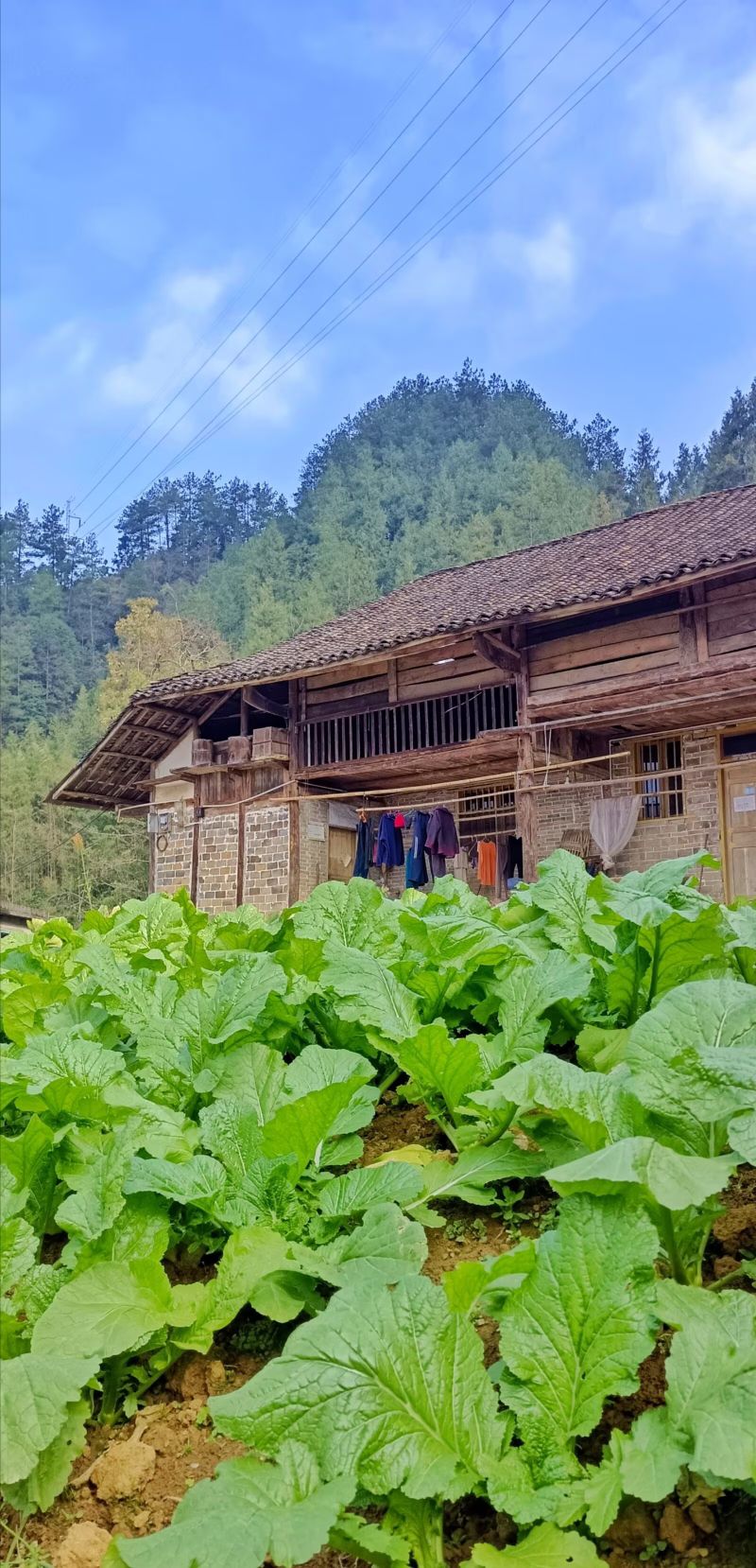 犀角尖风景打卡点旅行图片 1