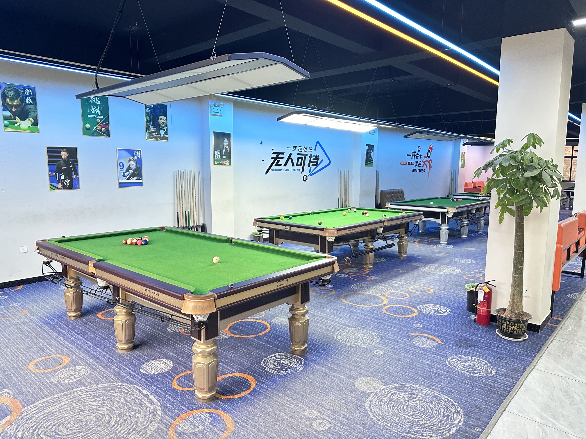场地封面-金连金桌球俱乐部
