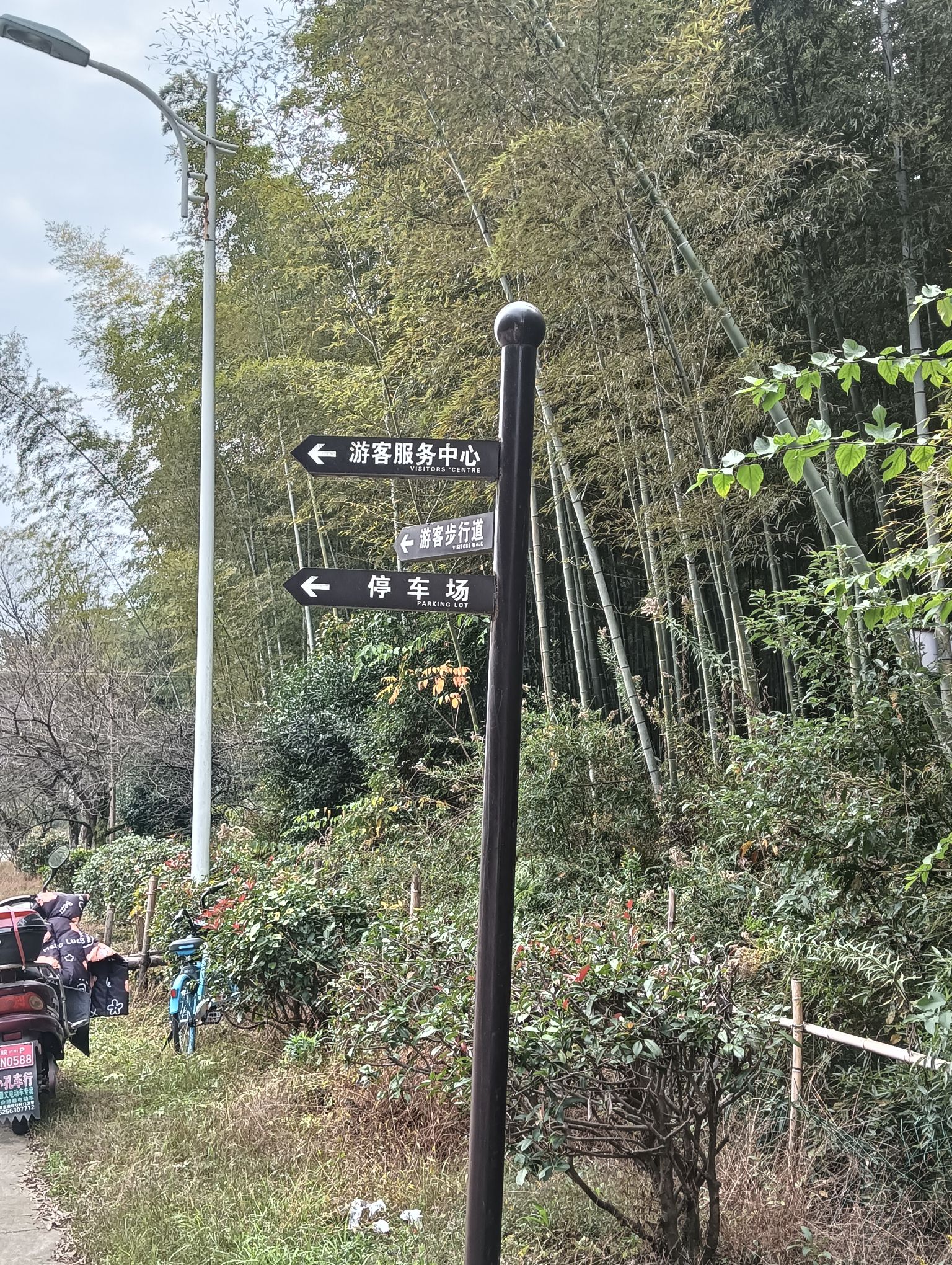 广德云花谷旅行图片 1